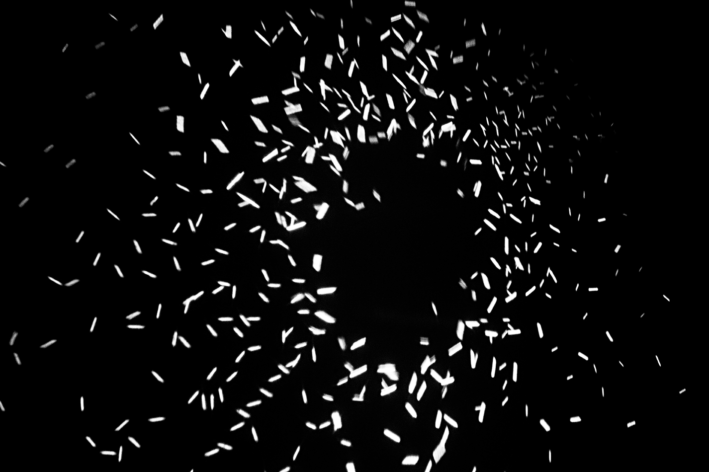 ELEMENTARTEILCHEN_Clara_Poeverlein_Final_Web_4