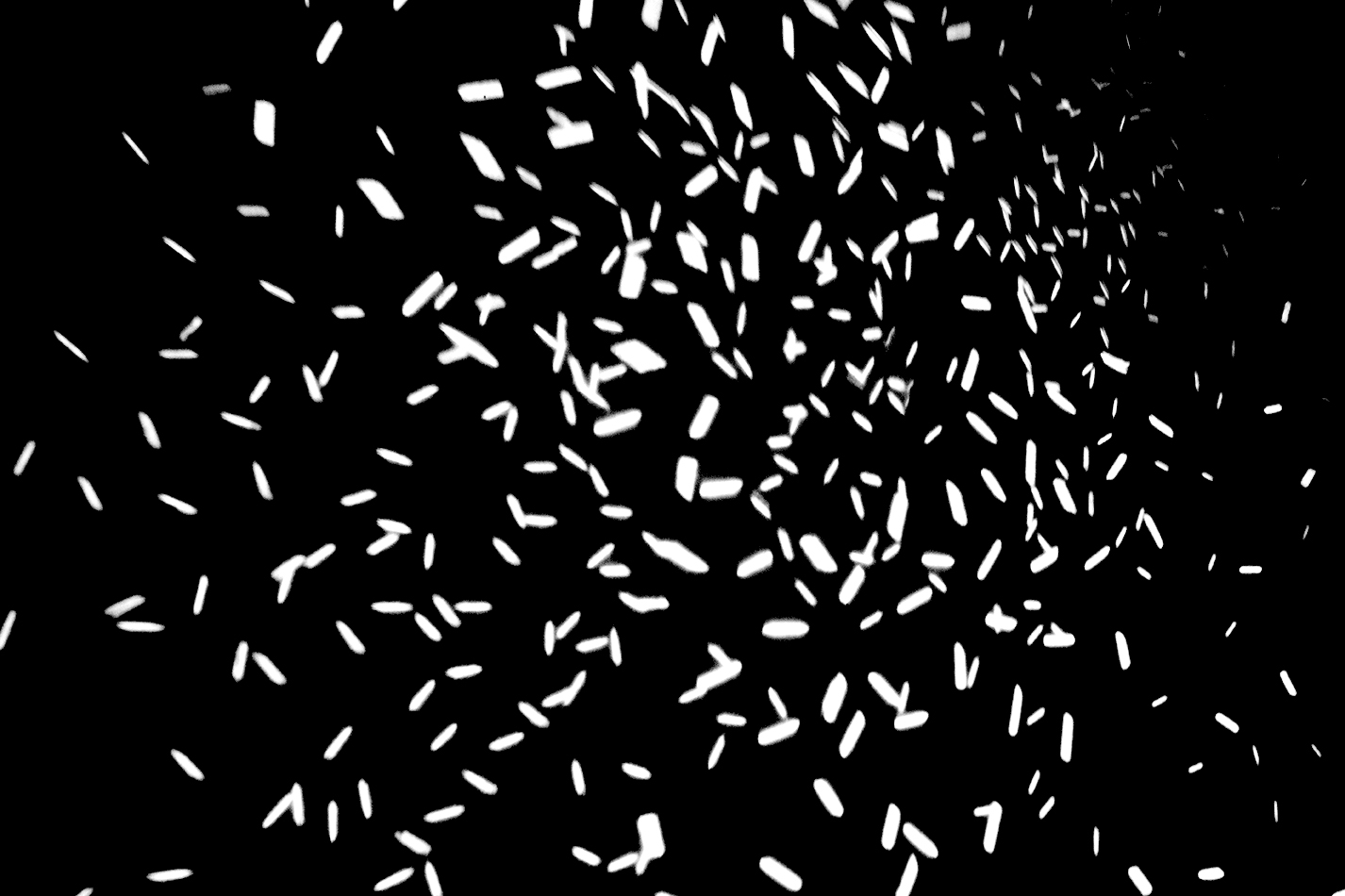 ELEMENTARTEILCHEN_Clara_Poeverlein_Final_Web_5