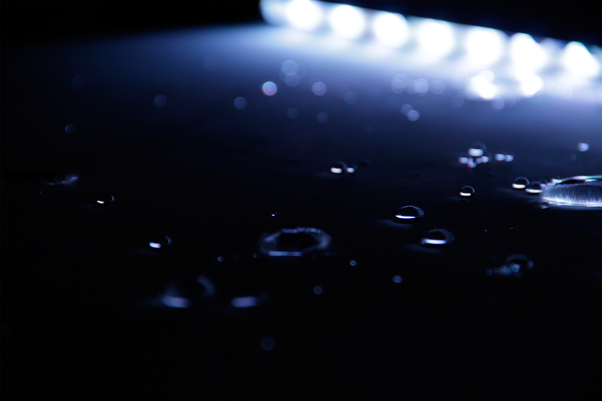 ISI_Dennis_Nguyen_Final_Web_4