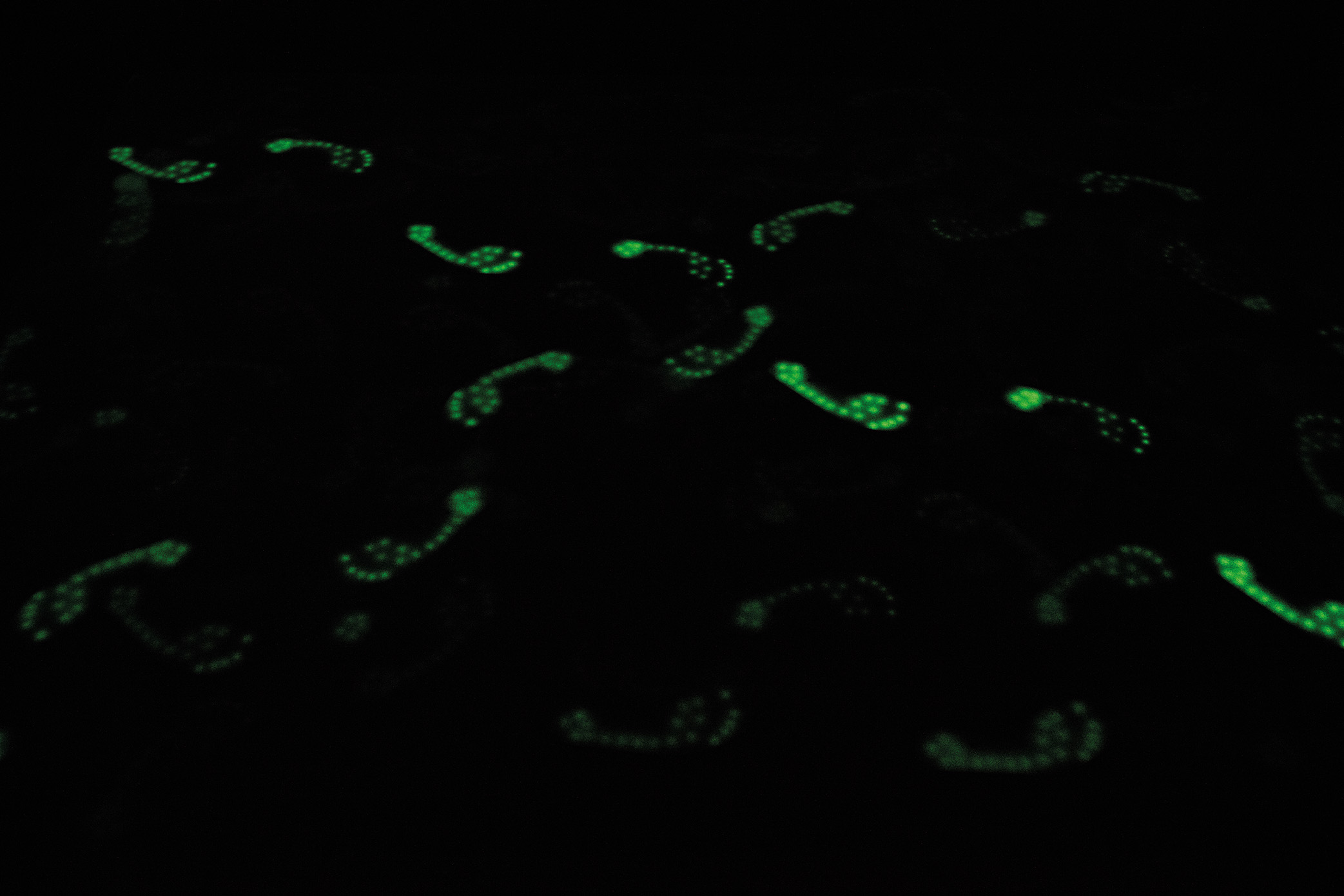 SPUREN_Agnes_Kelm_Final_Web_1