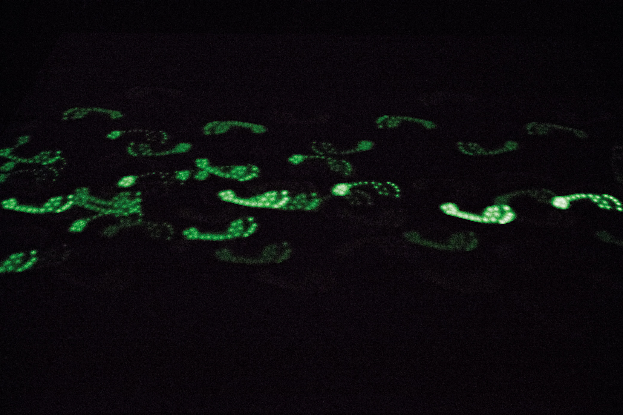 SPUREN_Agnes_Kelm_Final_Web_2