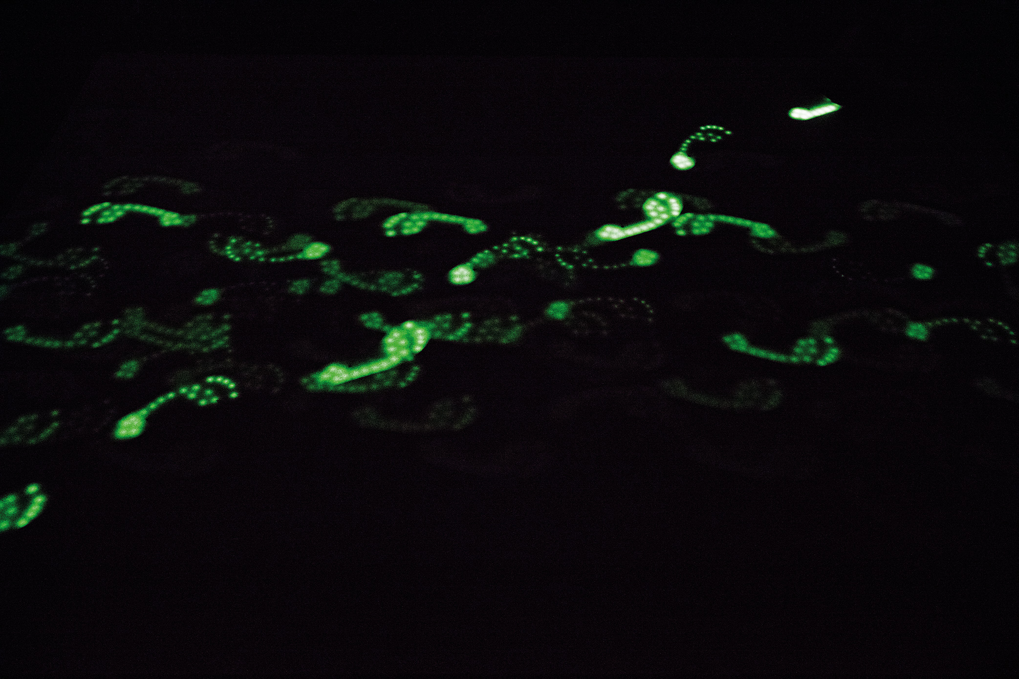 SPUREN_Agnes_Kelm_Final_Web_3