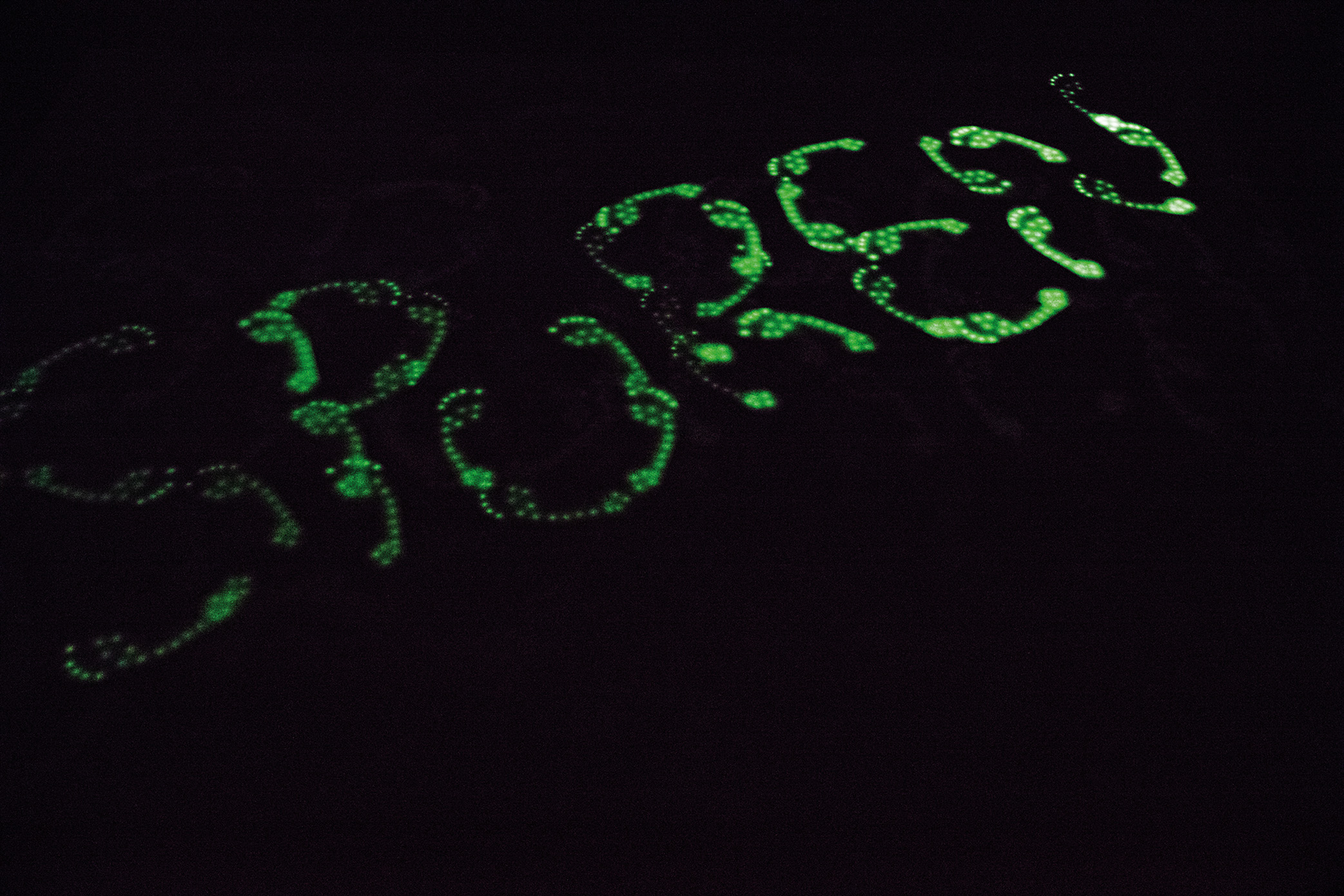 SPUREN_Agnes_Kelm_Final_Web_9