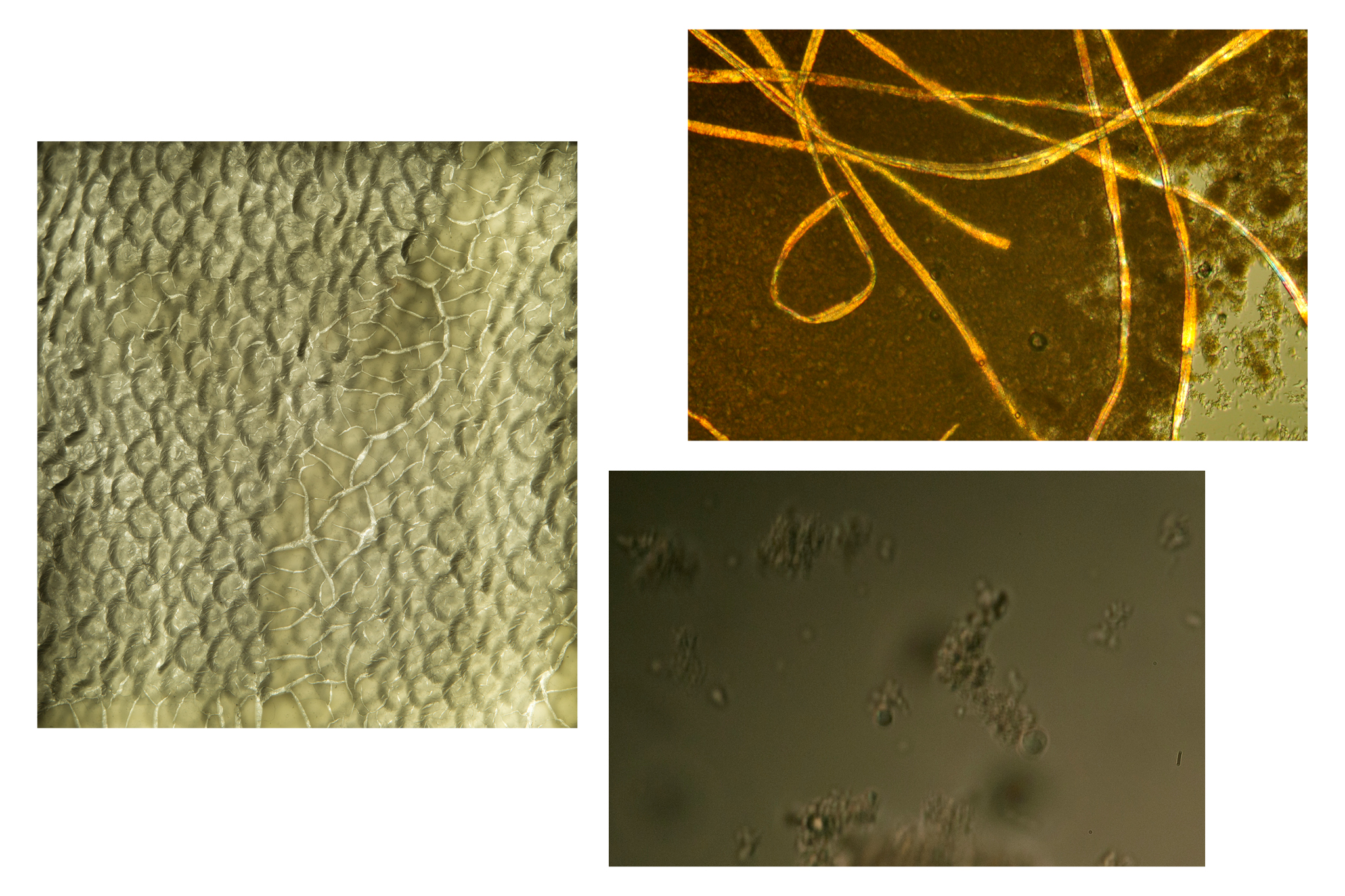 Fermentierung in alltaeglichen Objekten_XiJing_XU_Process_Web_2