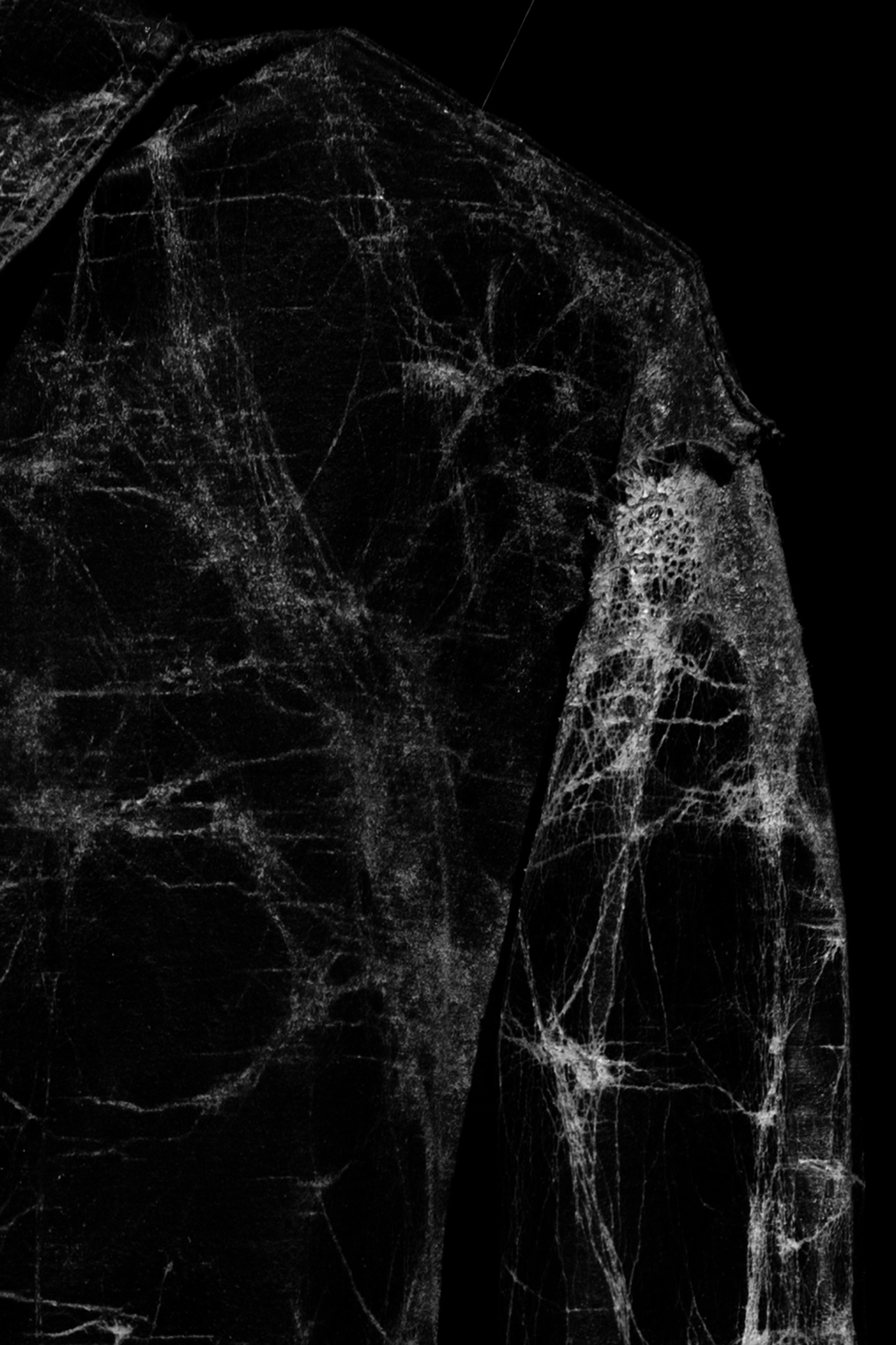 spueren_jennifer_rippel_final_web_1