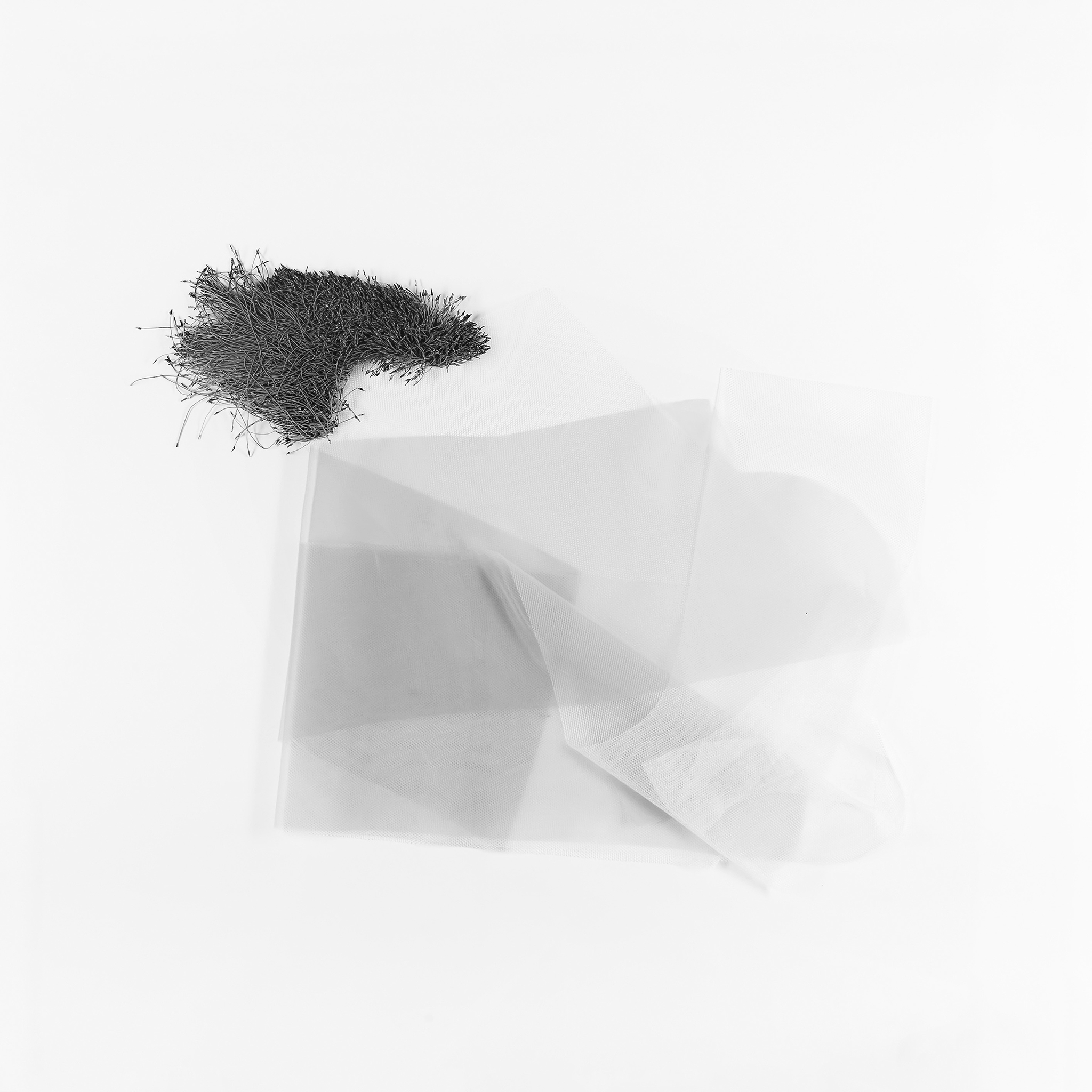 furor-floralis_friederike_stanitzek_final_web_12