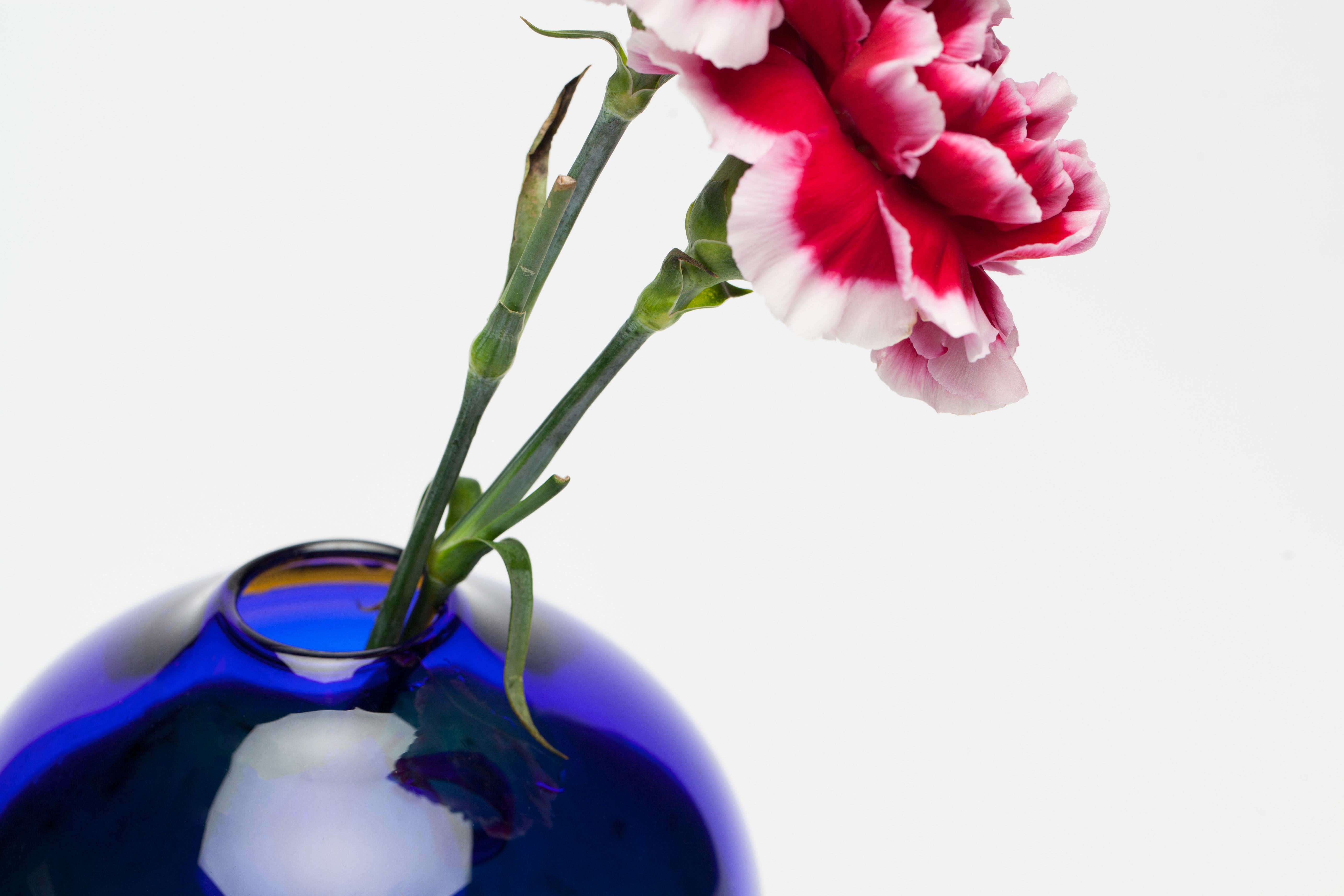 BLA VINTER_Juliette_Schmidt_Final_Web_16