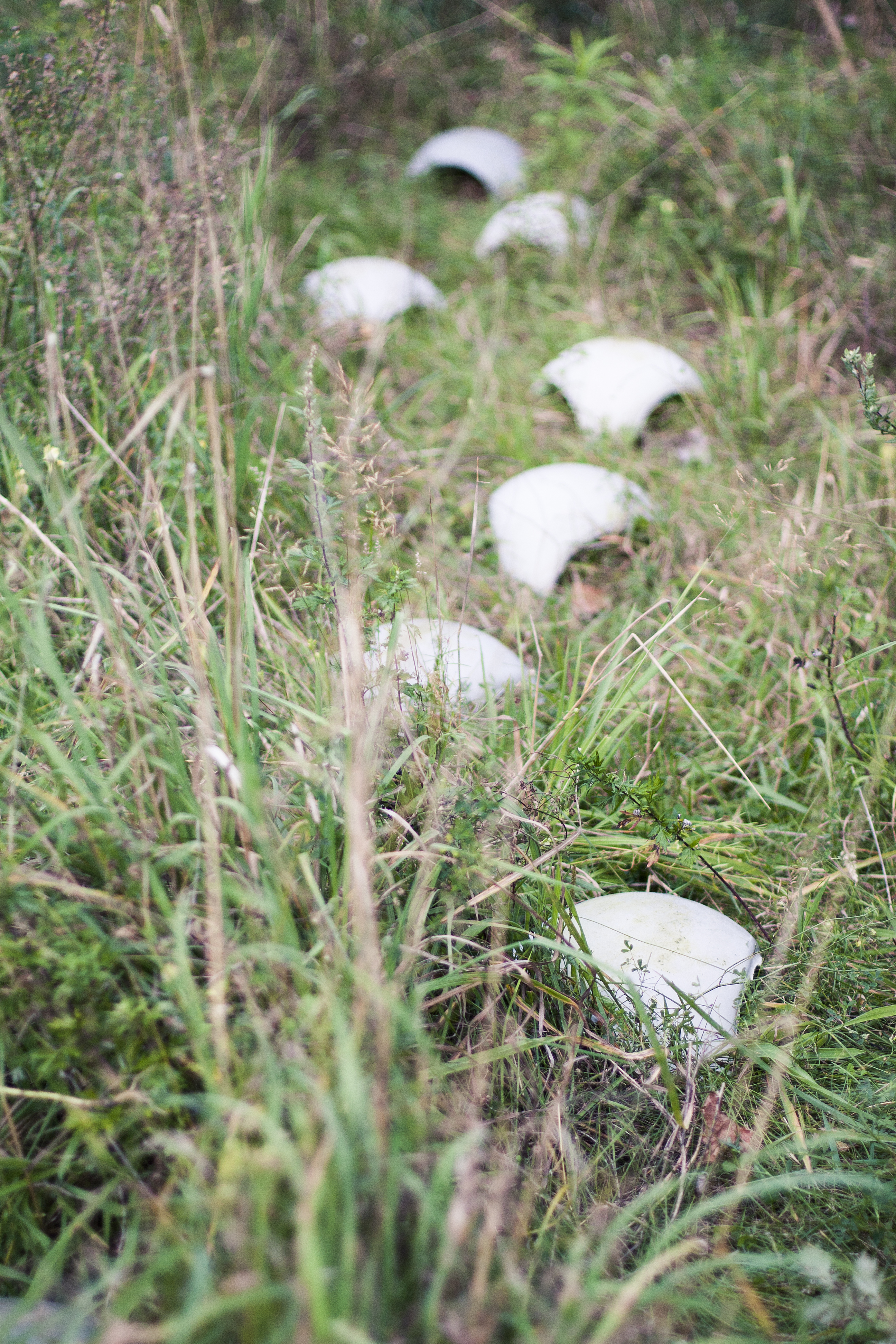 2012_Diplom_MaxSchäth_Brückenstein_002