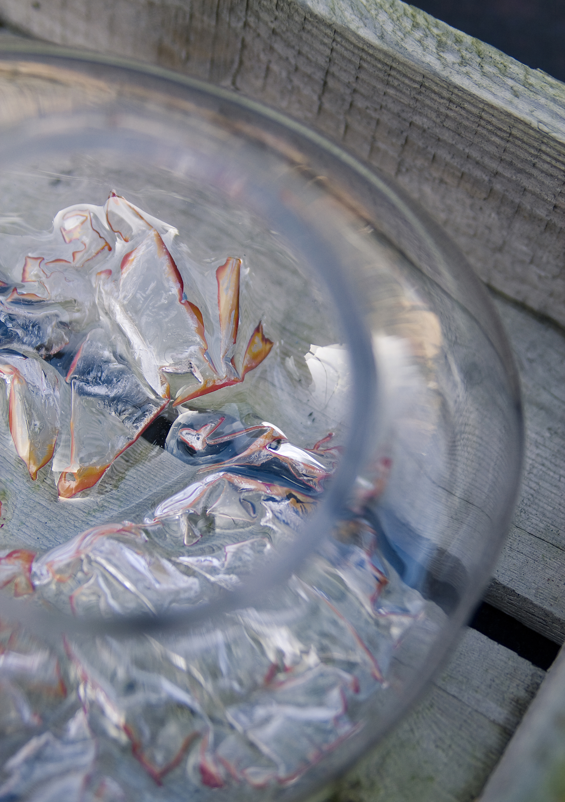 2012_Diplom_MilenaKling_Ruby_014