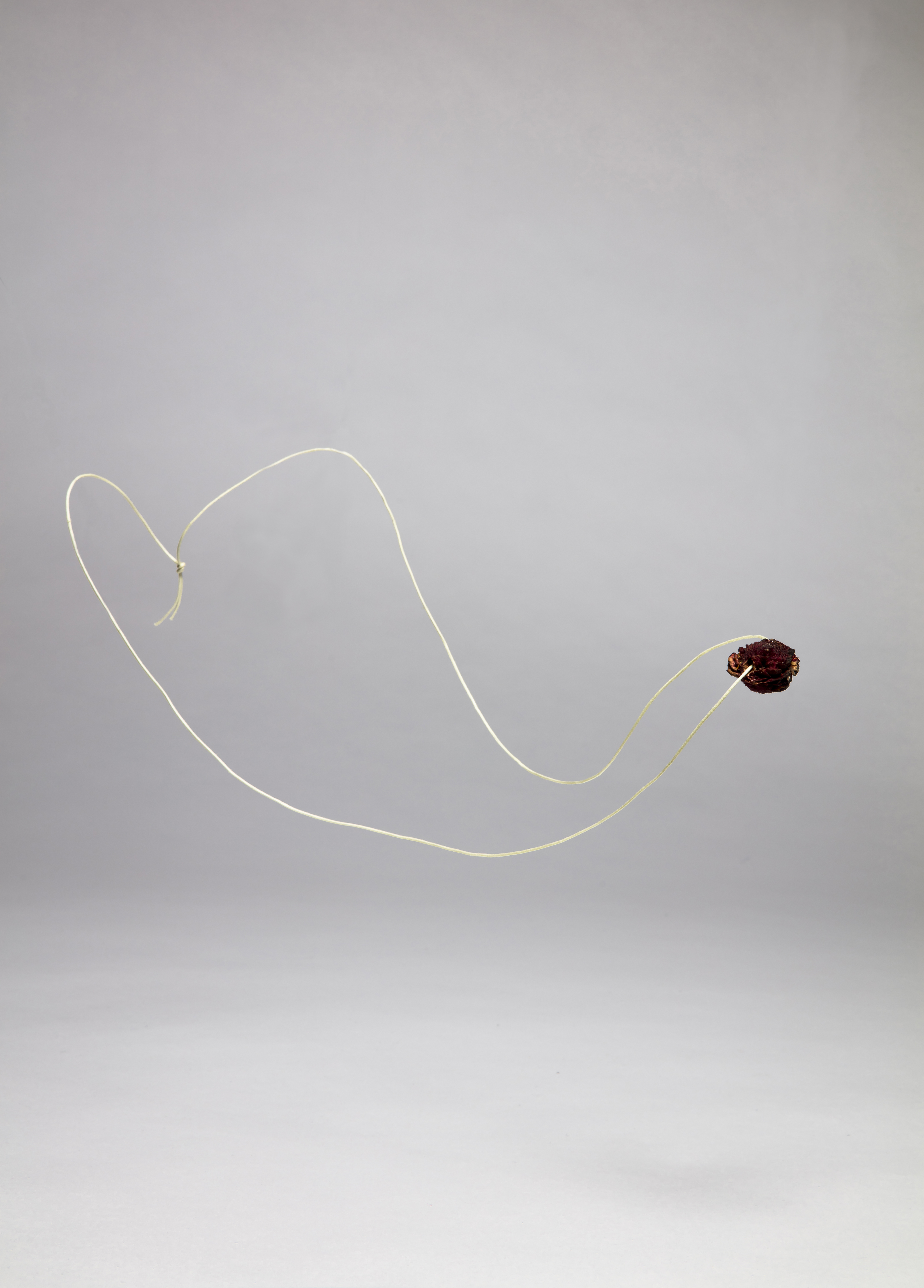 CRYPTOCISE_Maja_Avnat_Final_Web_4