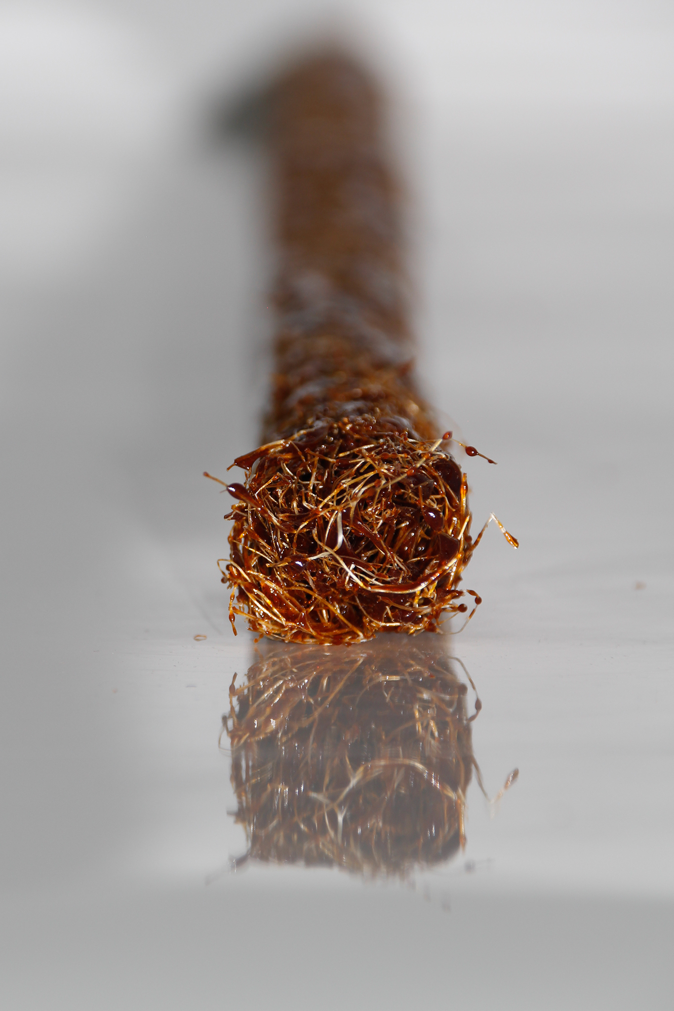 Si E904_Valentin_Bufler_Final_Web_05