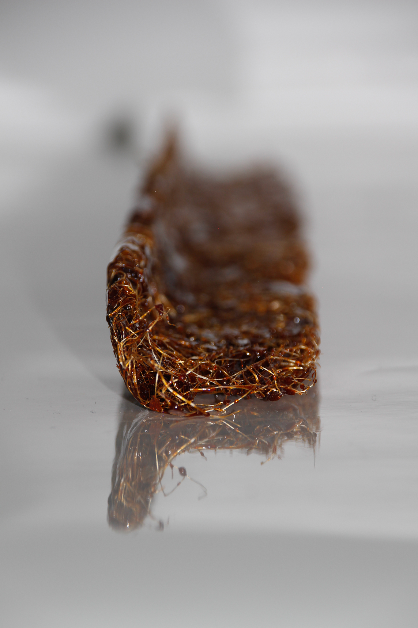 Si E904_Valentin_Bufler_Final_Web_06