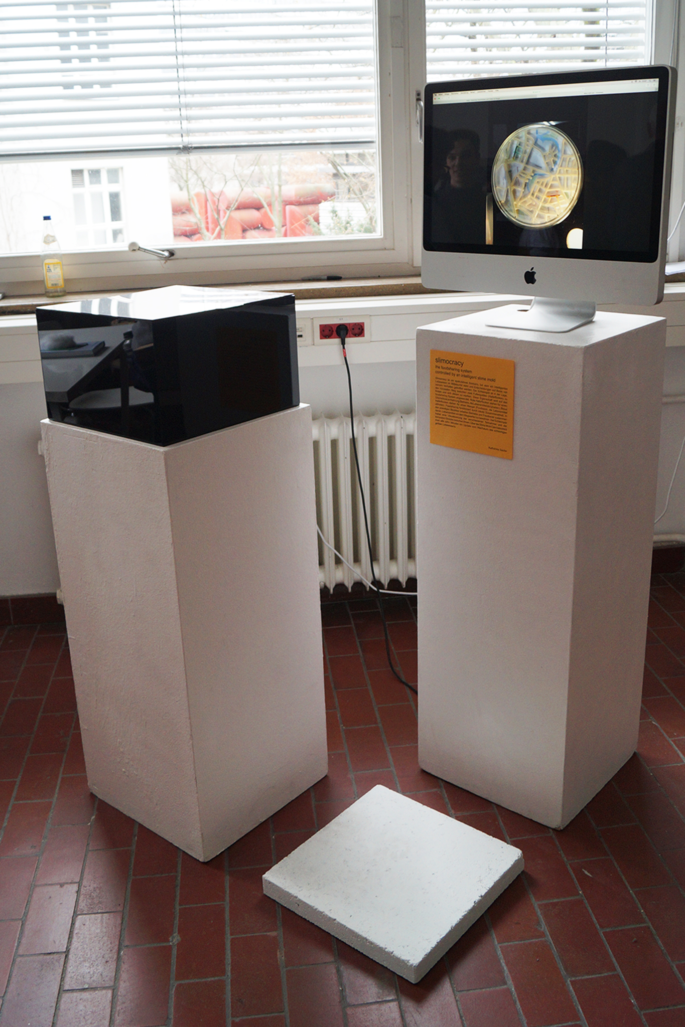SLIMOCRACY_Katharina_Sauter_Final_Web_1