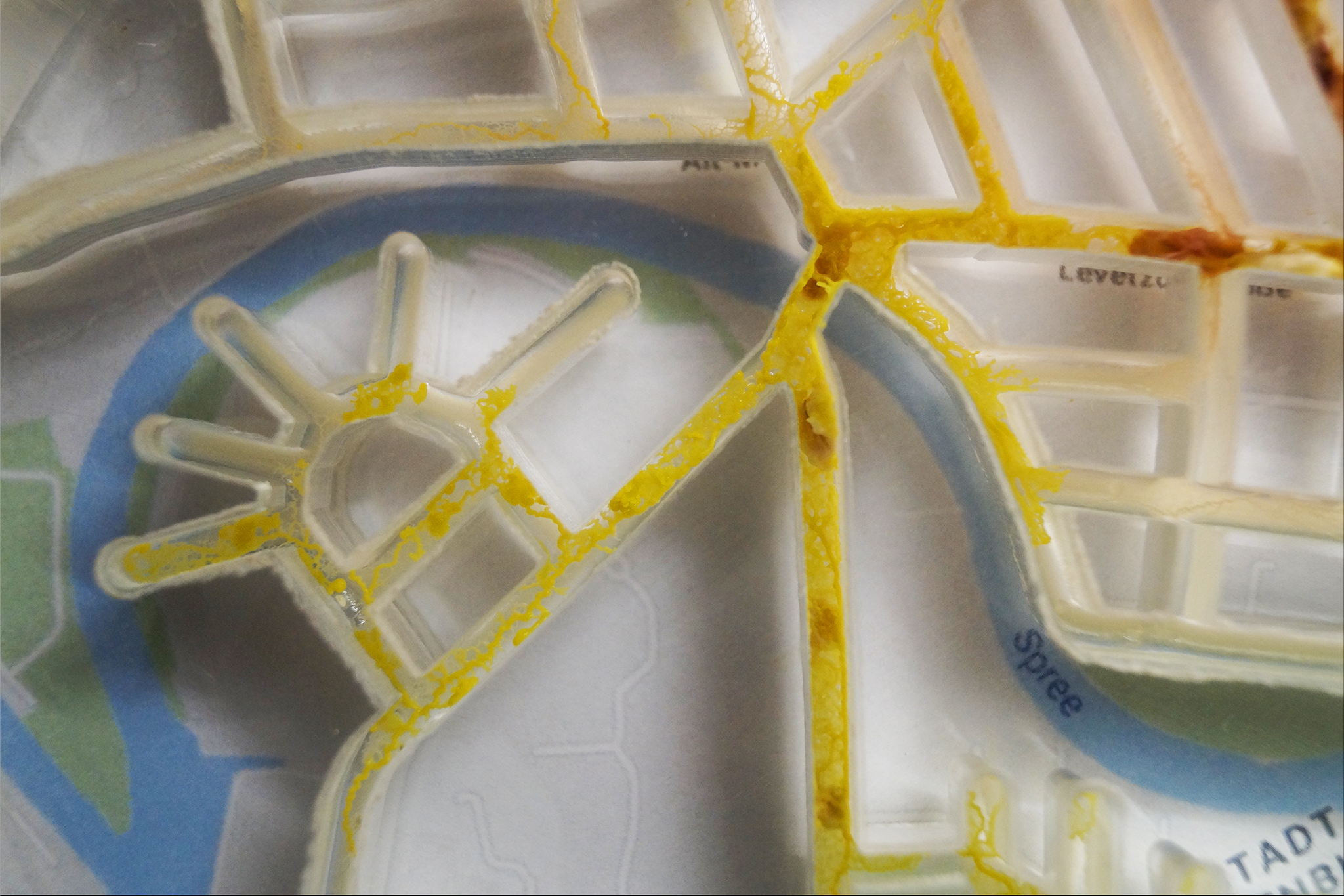 SLIMOCRACY_Katharina_Sauter_Final_Web_2