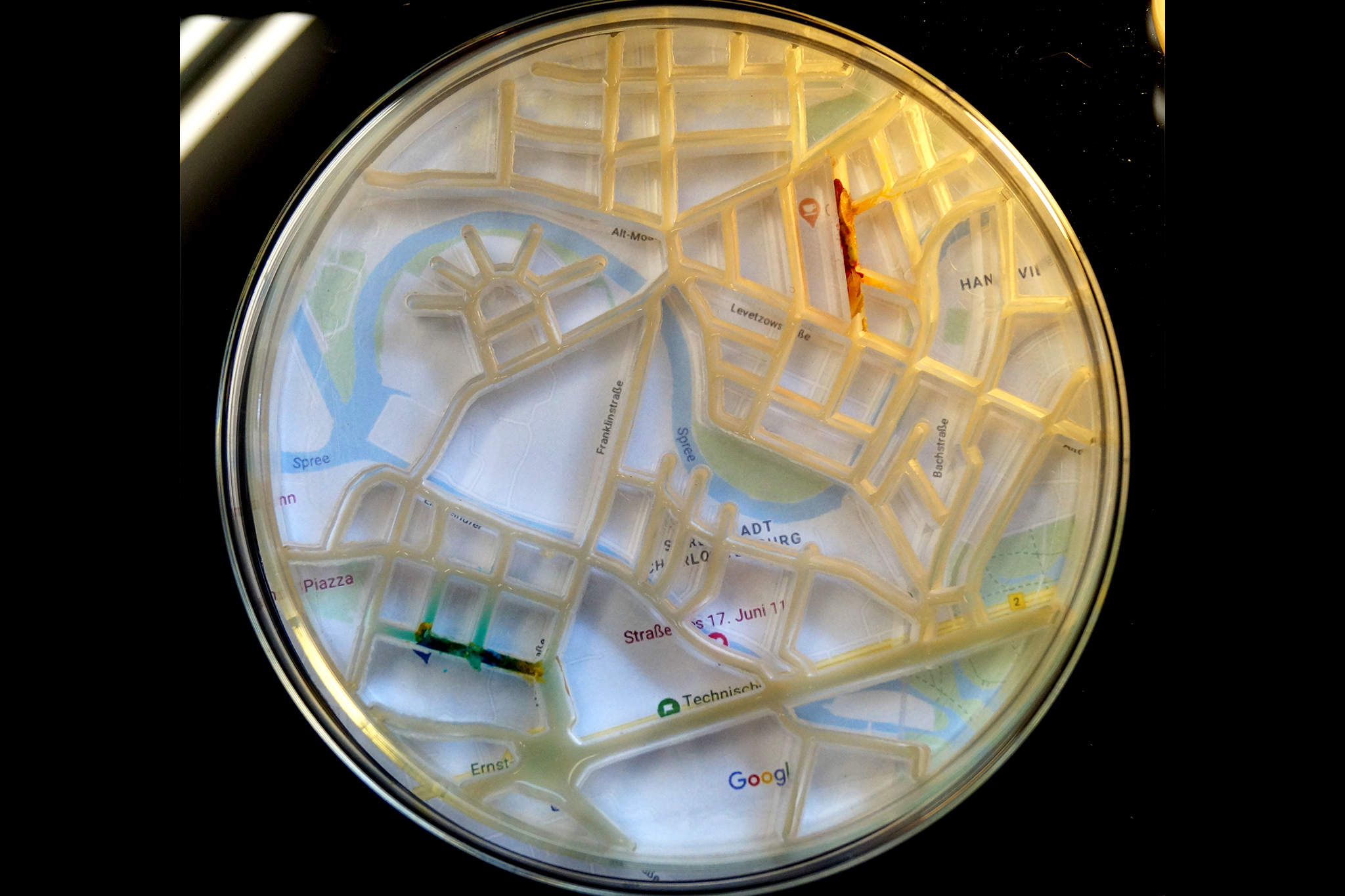 SLIMOCRACY_Katharina_Sauter_Final_Web_7