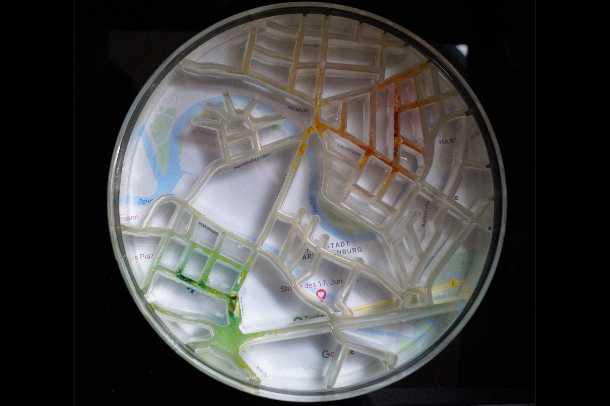 SLIMOCRACY_Katharina_Sauter_Final_Web_8