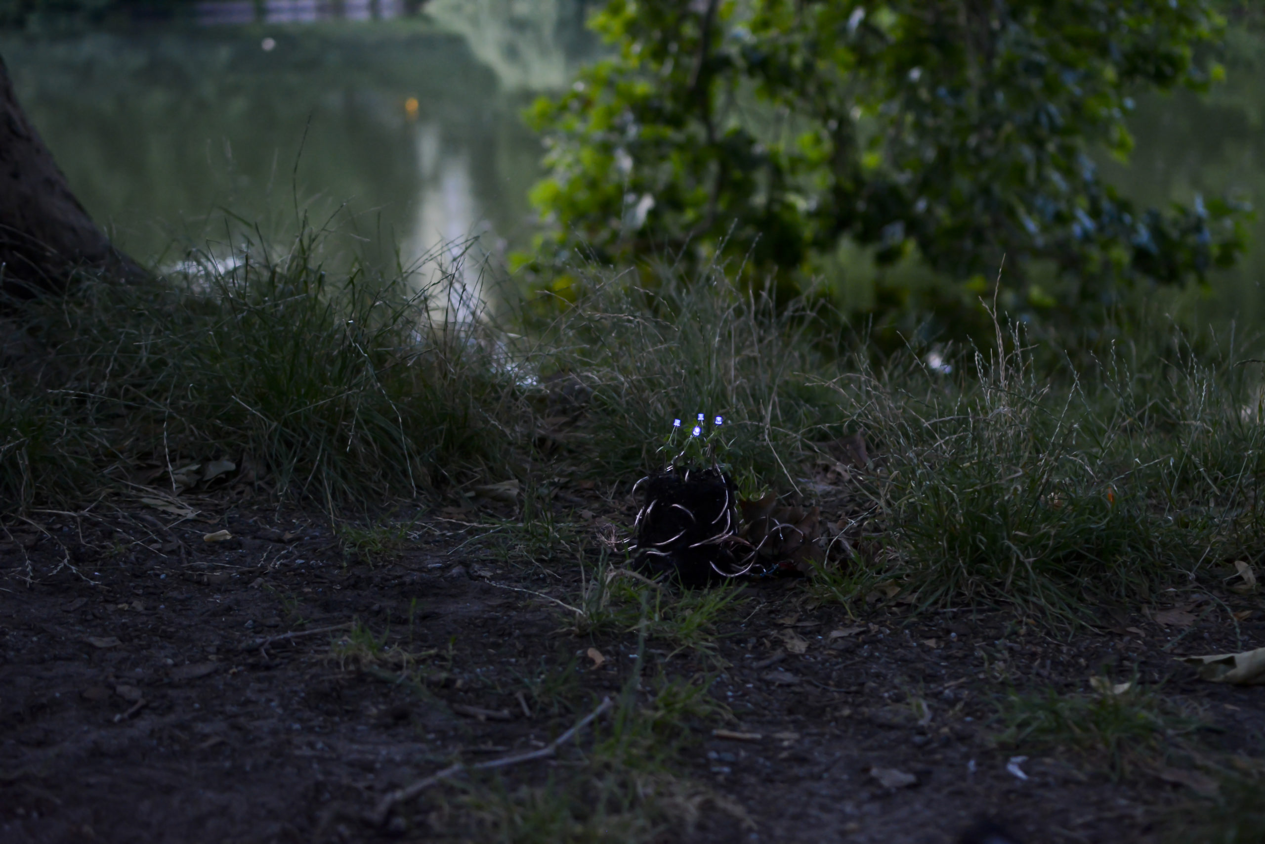 Plant Lamp_Julius Fuehrer_Lowres_1