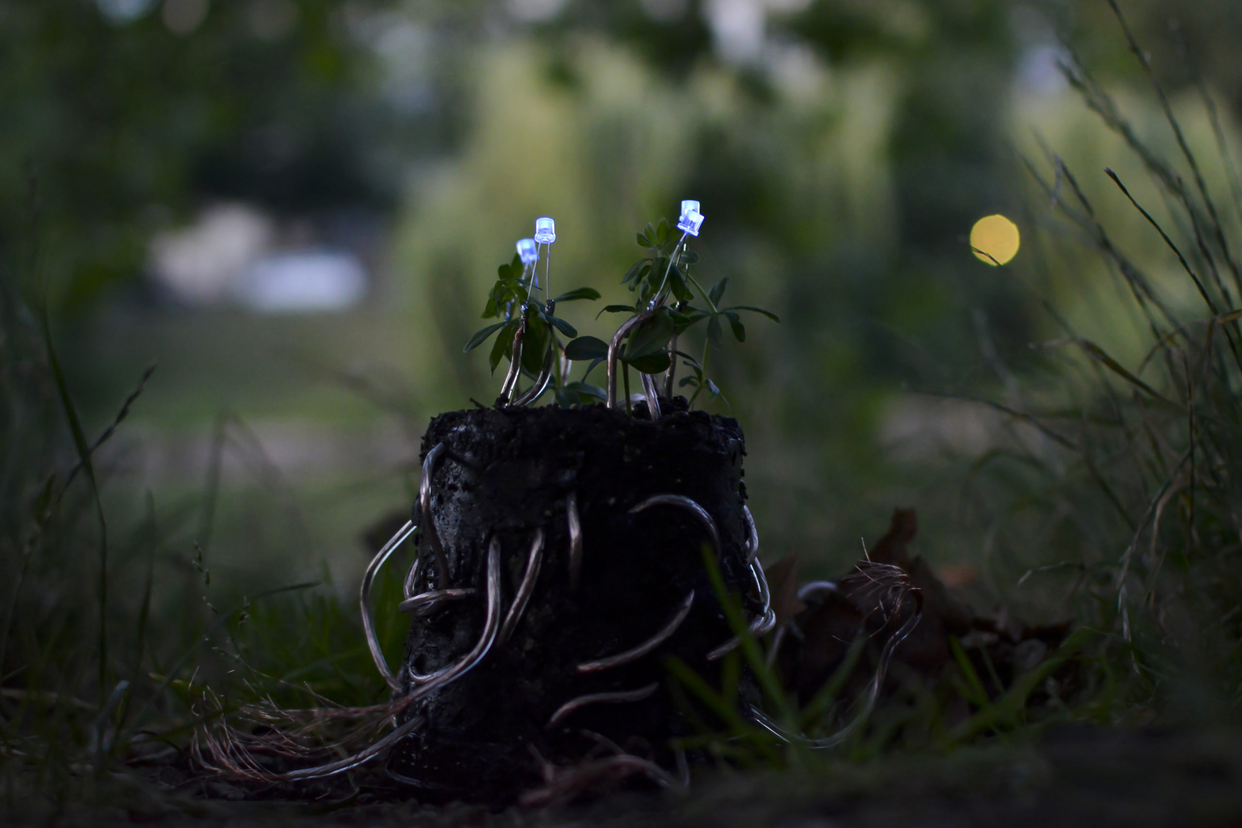 Plant Lamp_Julius Fuehrer_Lowres_2