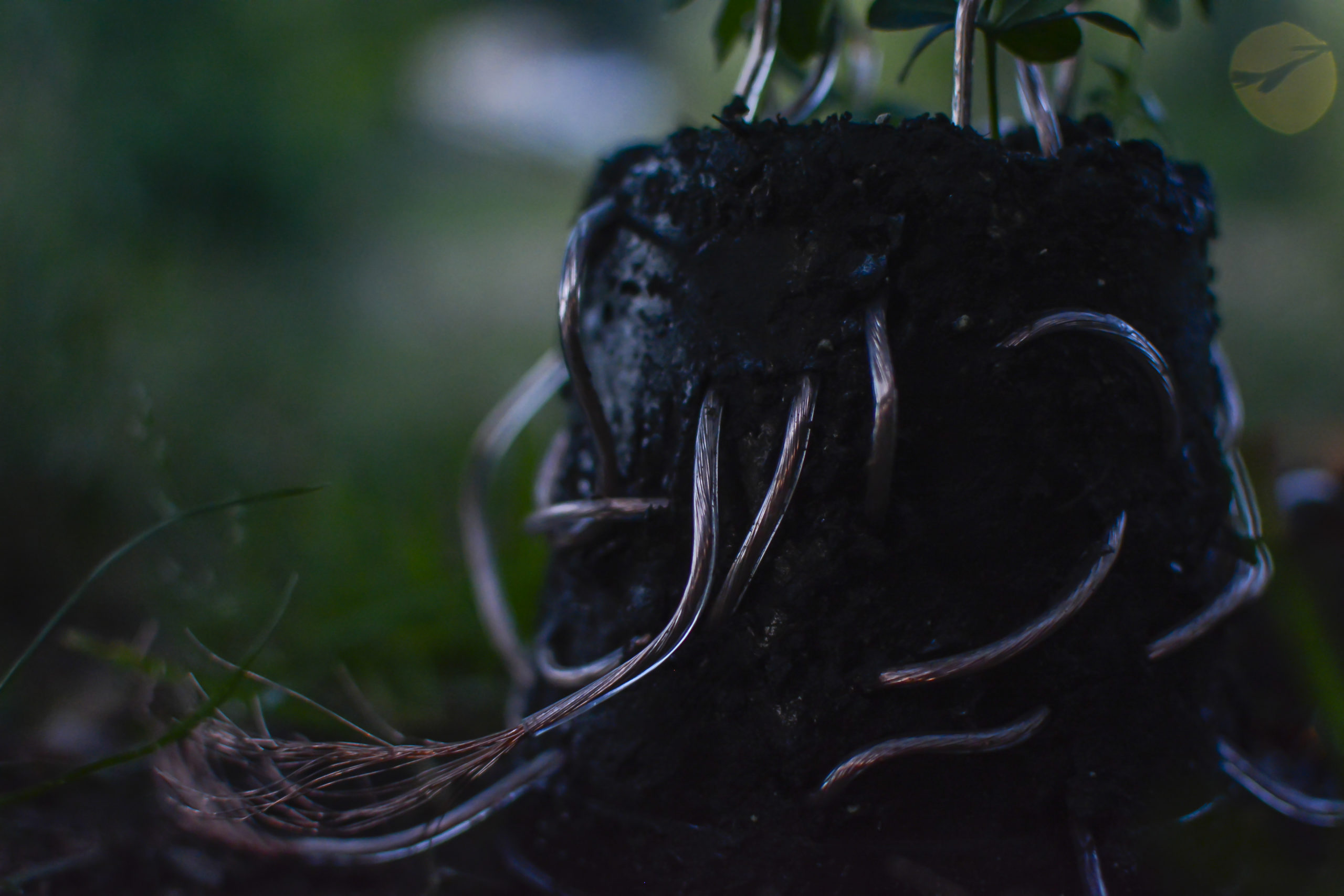 Plant Lamp_Julius Fuehrer_Lowres_3