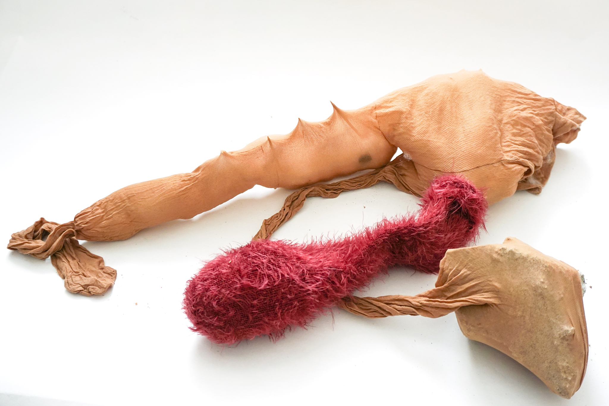 Trans form_Lilli_Kern_Process 5