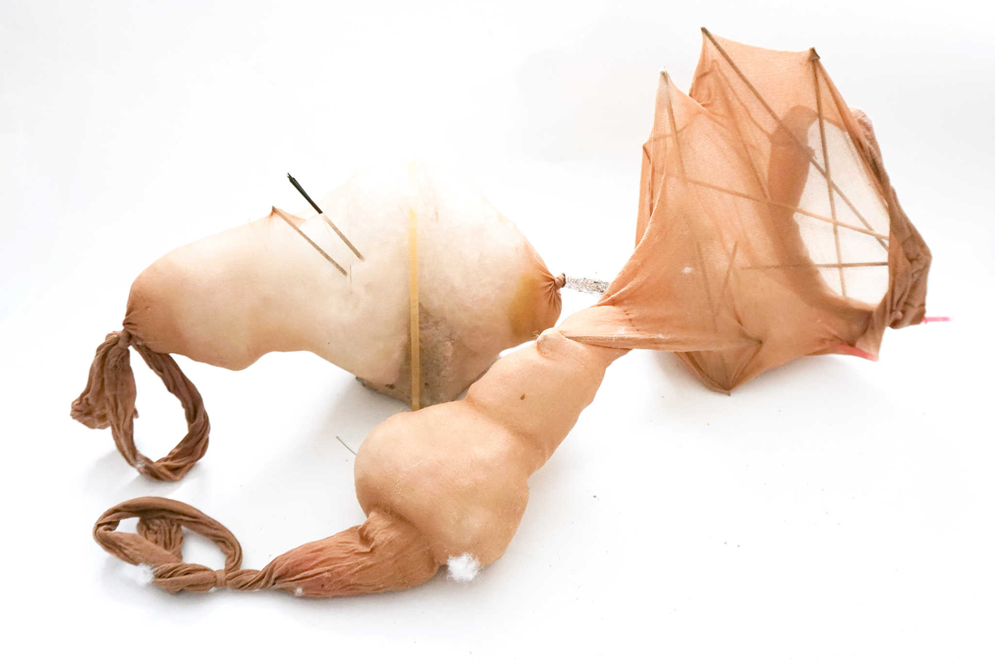 Trans form_Lilli_Kern_Process 8