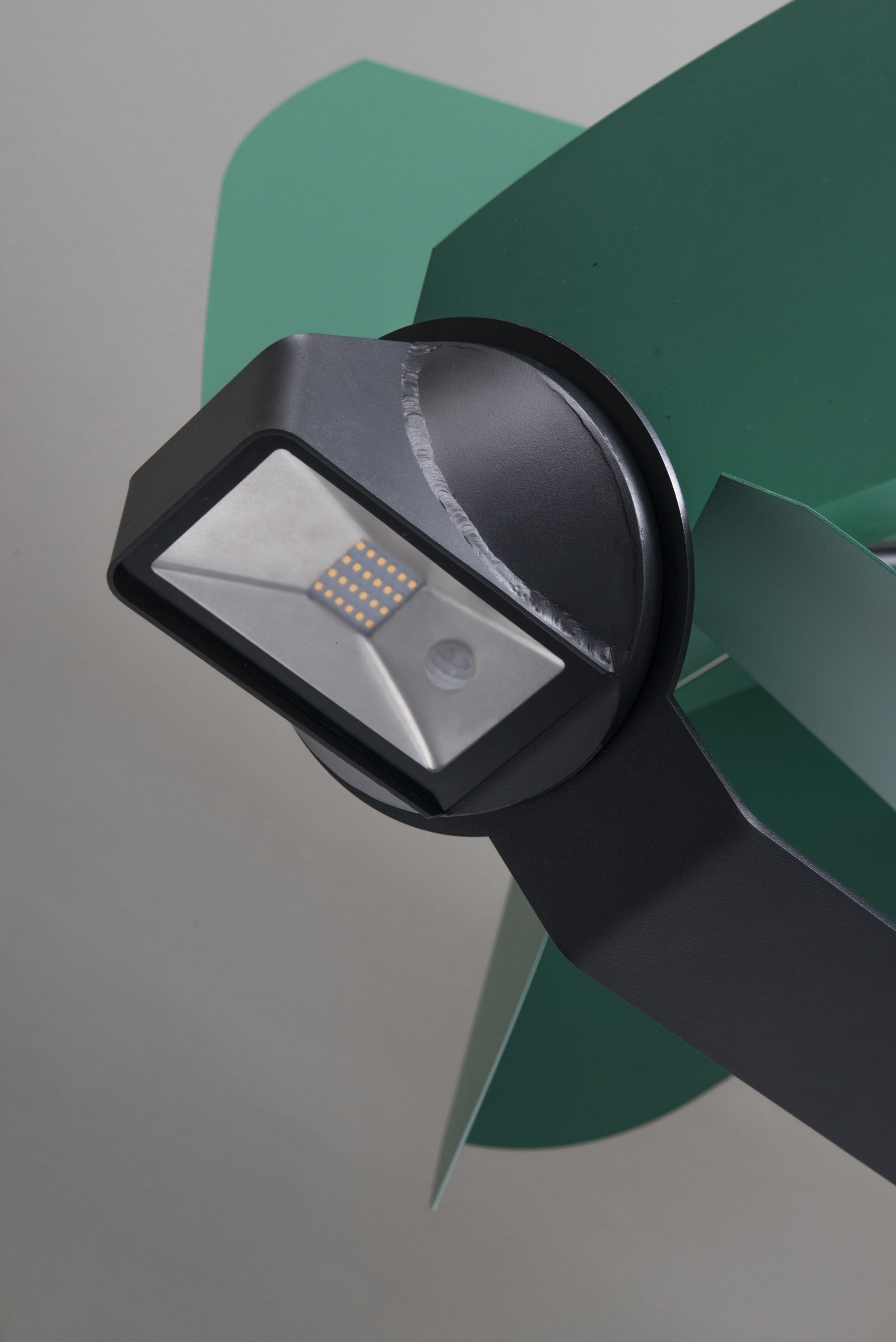 PAPILIO_Tobias_Truebenbacher_highres_3