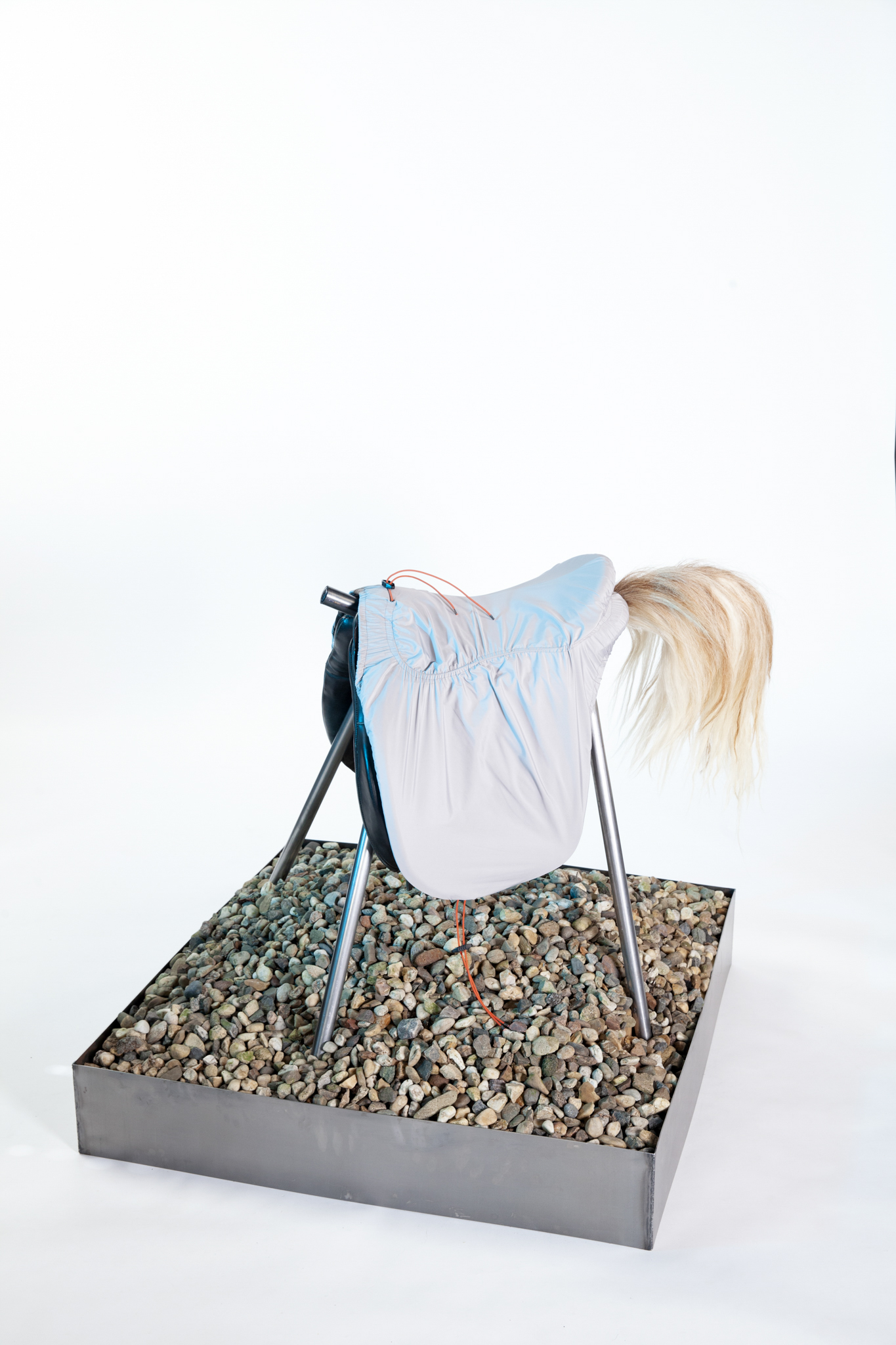 2 For all true lovers, of whatever species_Delia_Roesser_Final_Web-4 copy
