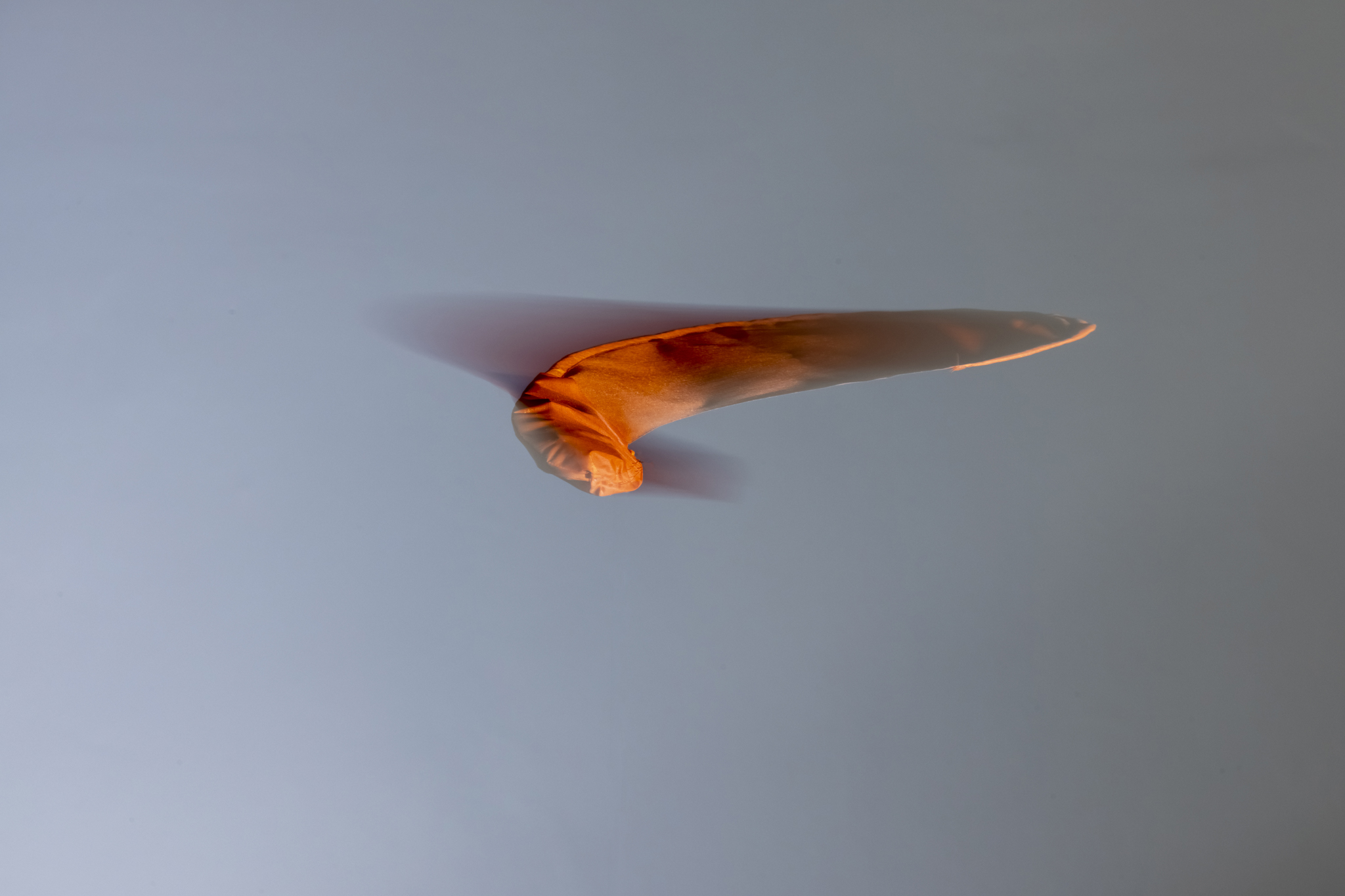 julius_fuehrer_a thousand seeds or the right to becoming_Final_web_03