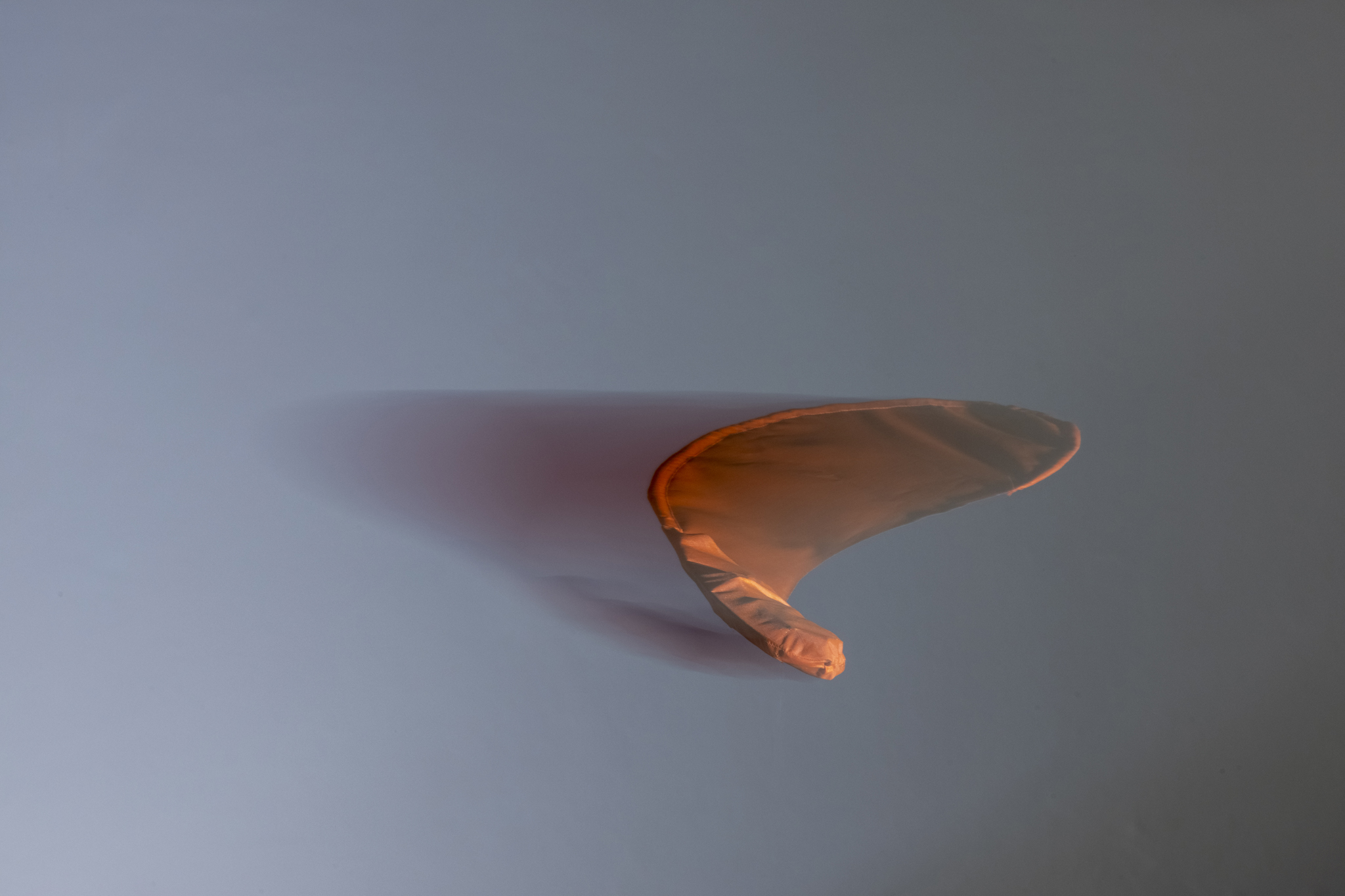 julius_fuehrer_a thousand seeds or the right to becoming_Final_web_04