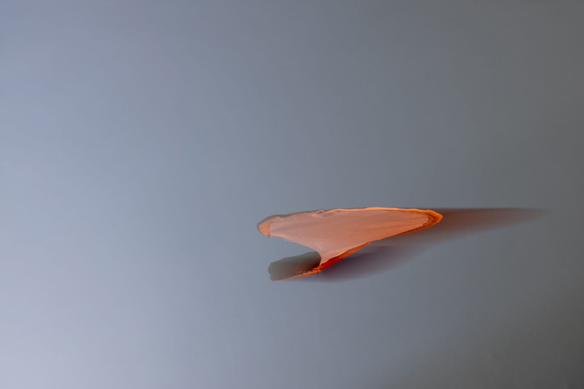 julius_fuehrer_a thousand seeds or the right to becoming_Final_web_05