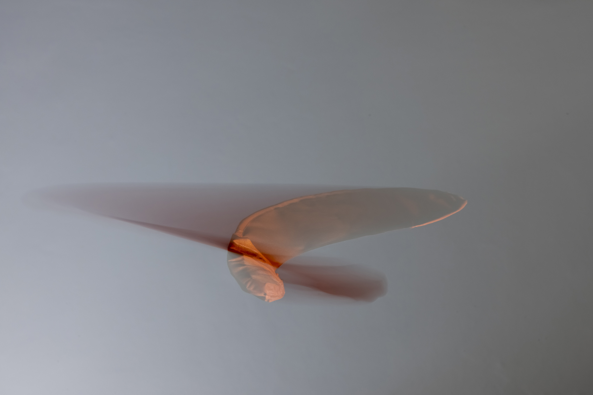 julius_fuehrer_a thousand seeds or the right to becoming_Final_web_07