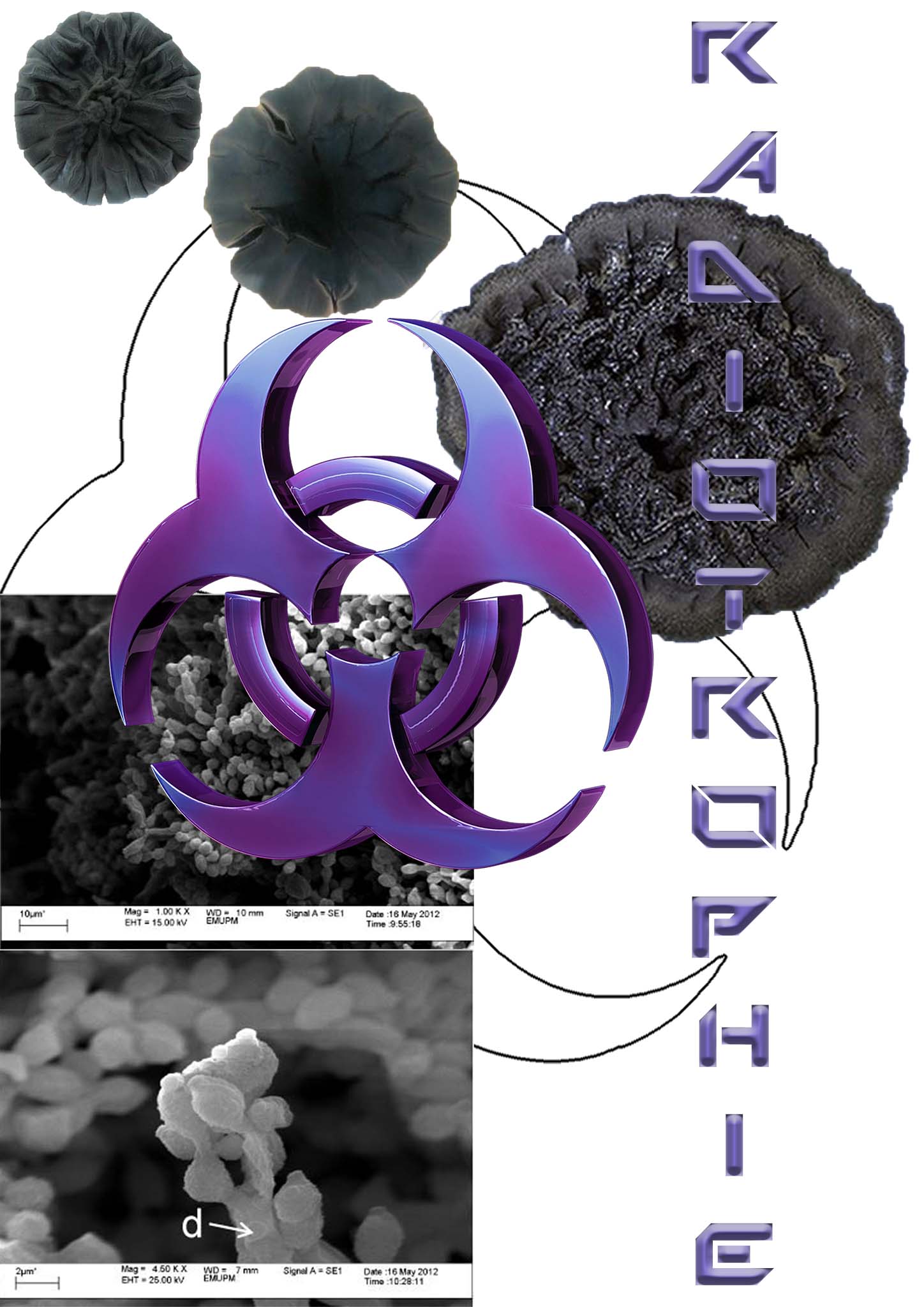 MYCOTOPIA_Clara_Escobar_Final_Web_3