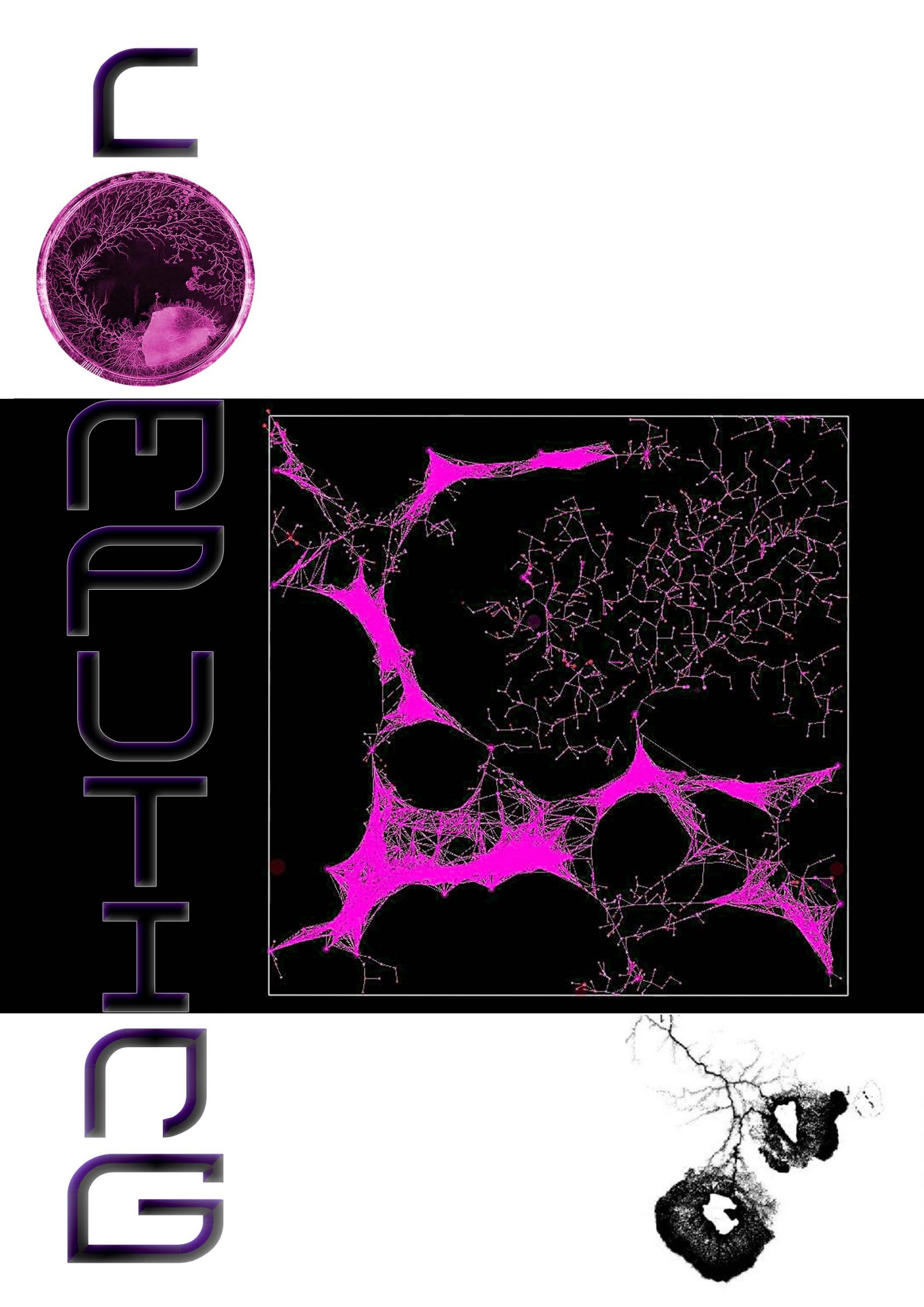 MYCOTOPIA_Clara_Escobar_Final_Web_4