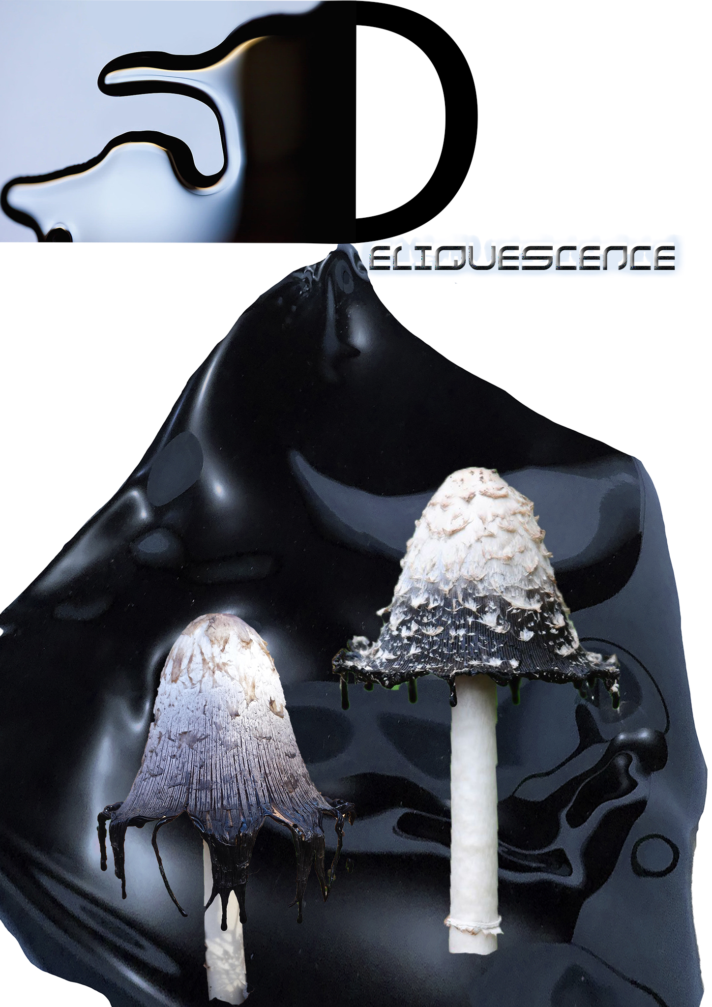 MYCOTOPIA_Clara_Escobar_Final_Web_5