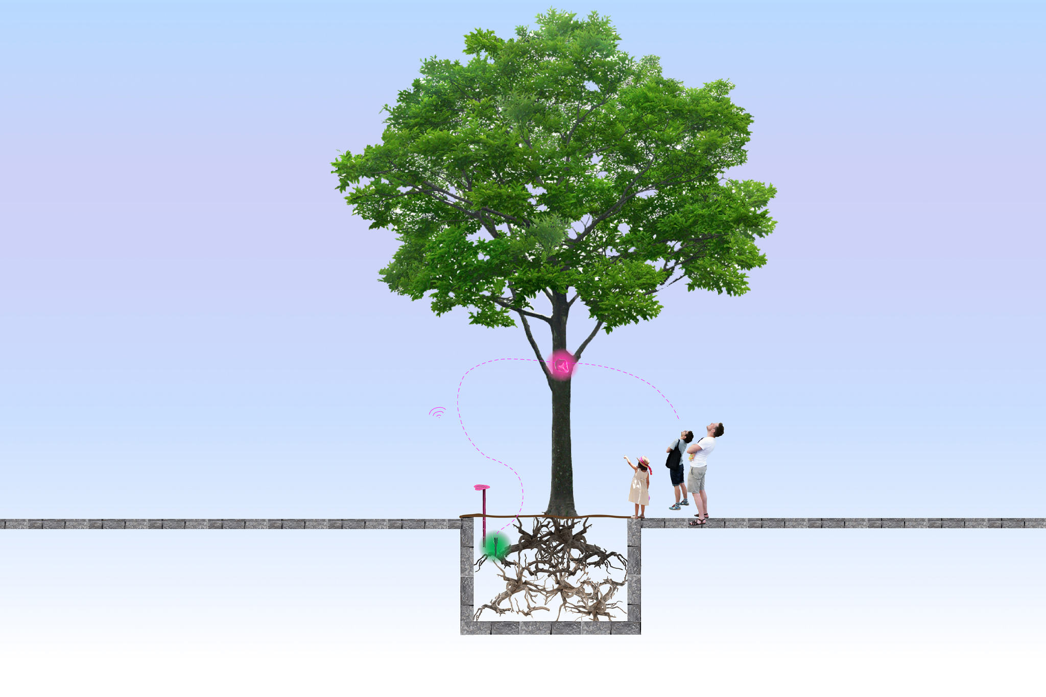 BLoOm_Kim Kuhl_lowres_12