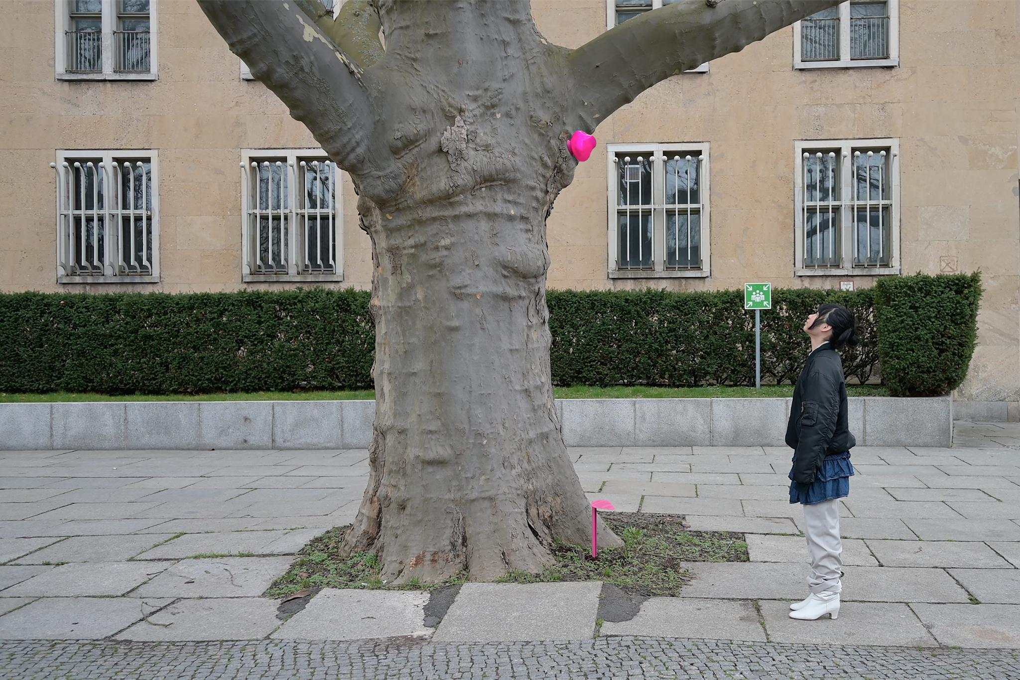 BLoOm_Kim Kuhl_lowres_2