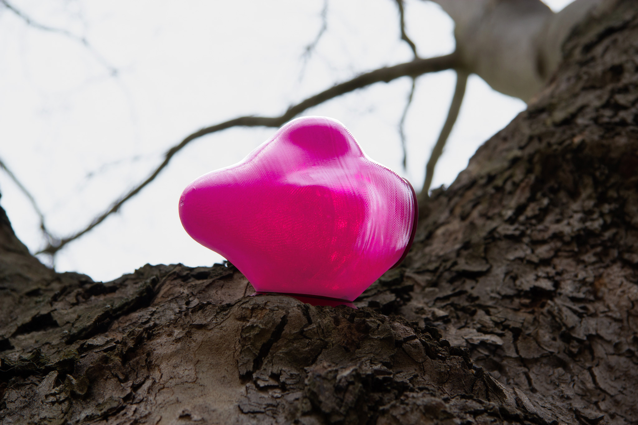 BLoOm_Kim Kuhl_lowres_6