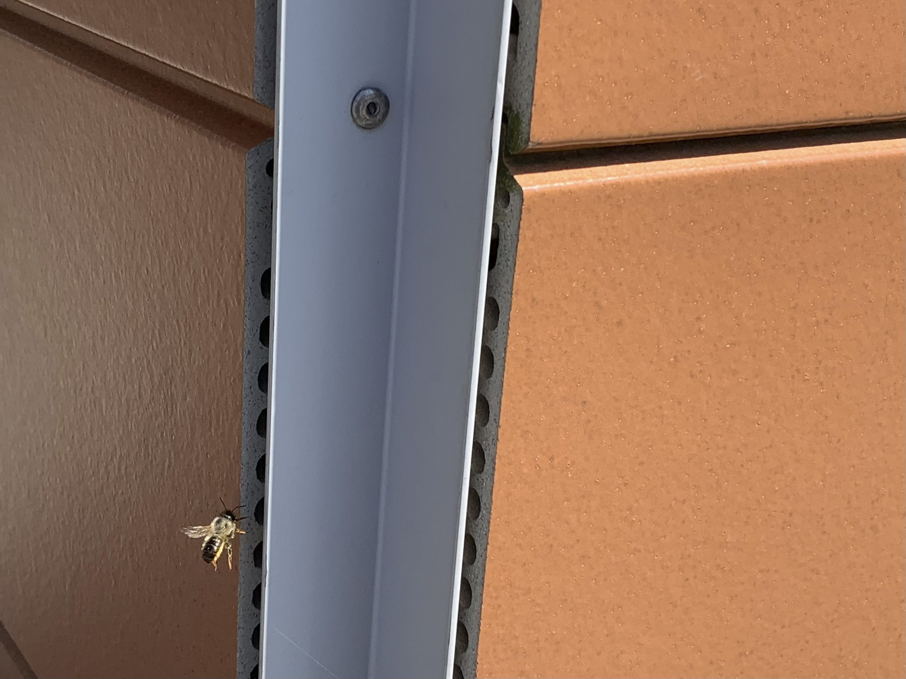 BUZZ_Emma_Johann_Process_web_11