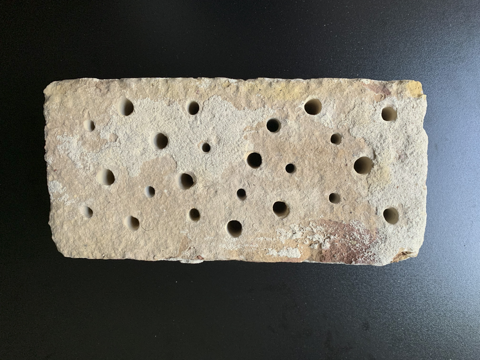 BUZZ_Emma_Johann_Process_web_12