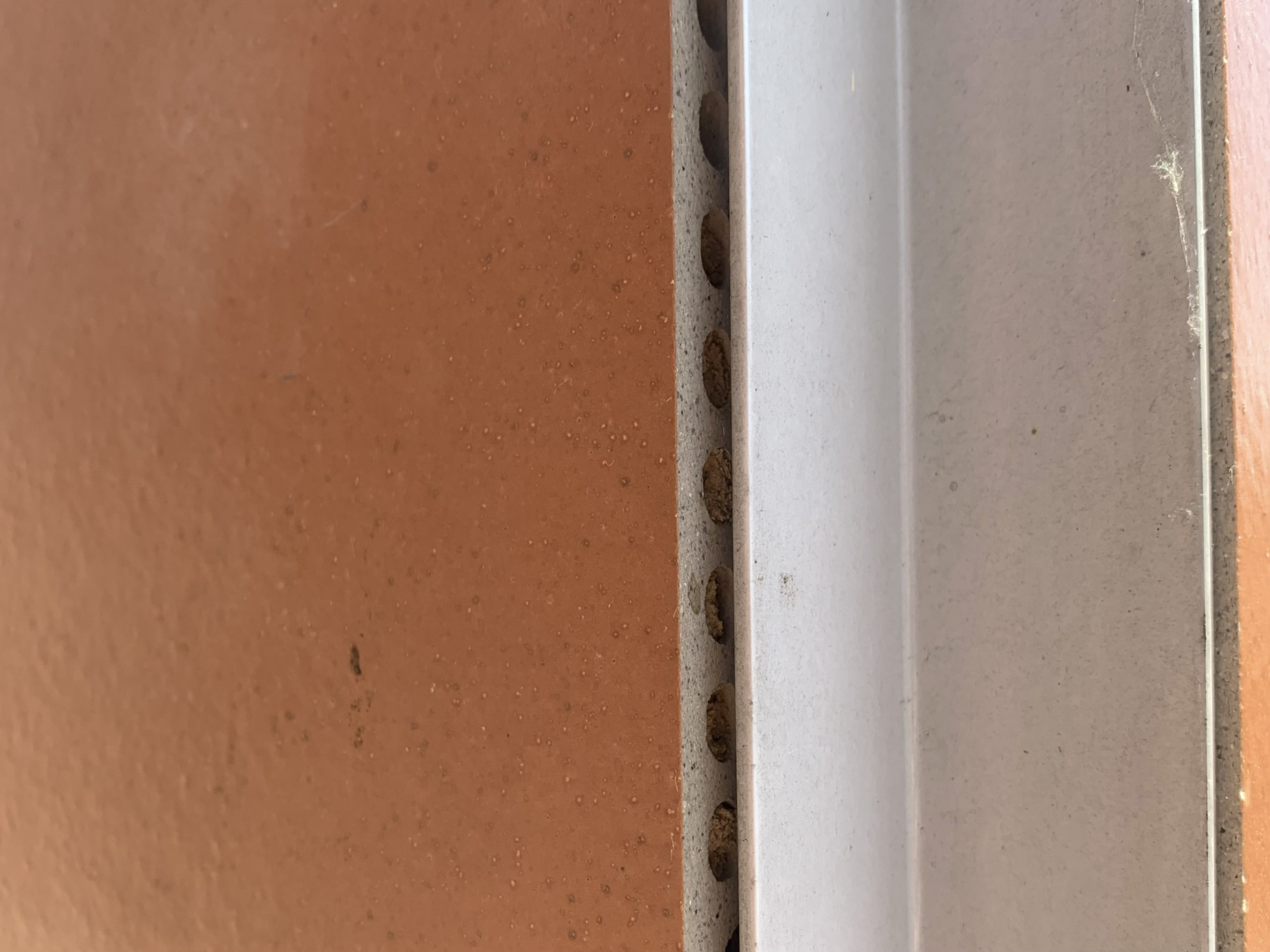 BUZZ_Emma_Johann_Process_web_13