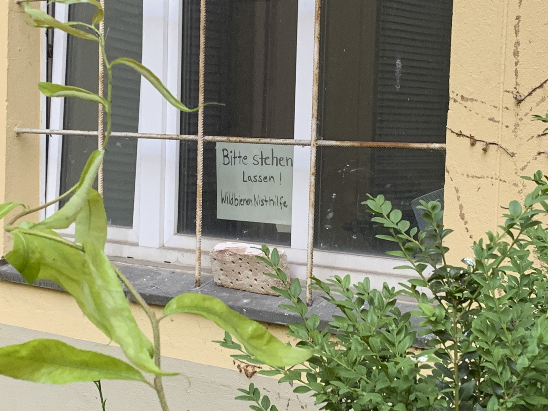 BUZZ_Emma_Johann_Process_web_8