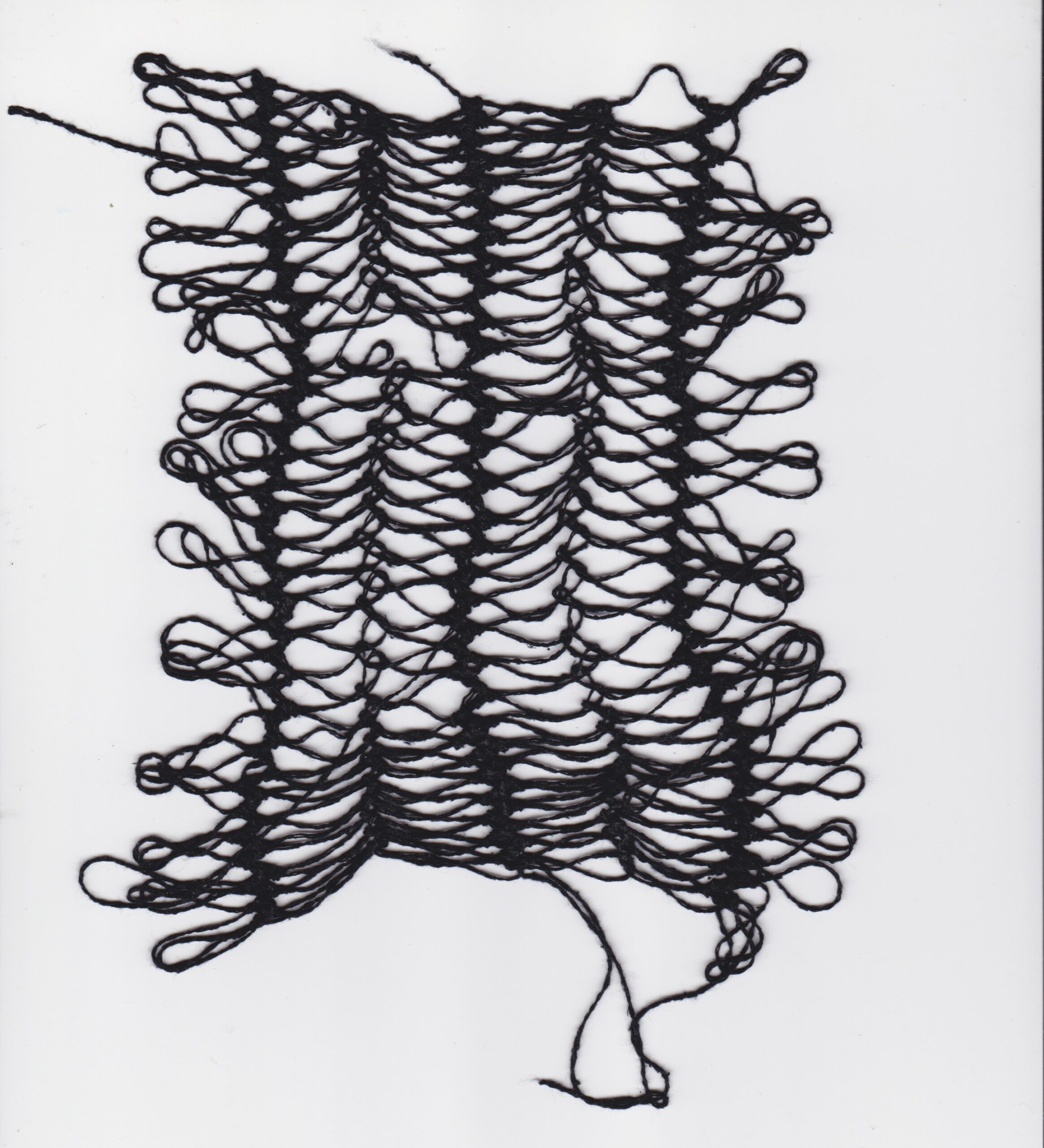 2324_WiSe_BOCKROSALIE_14