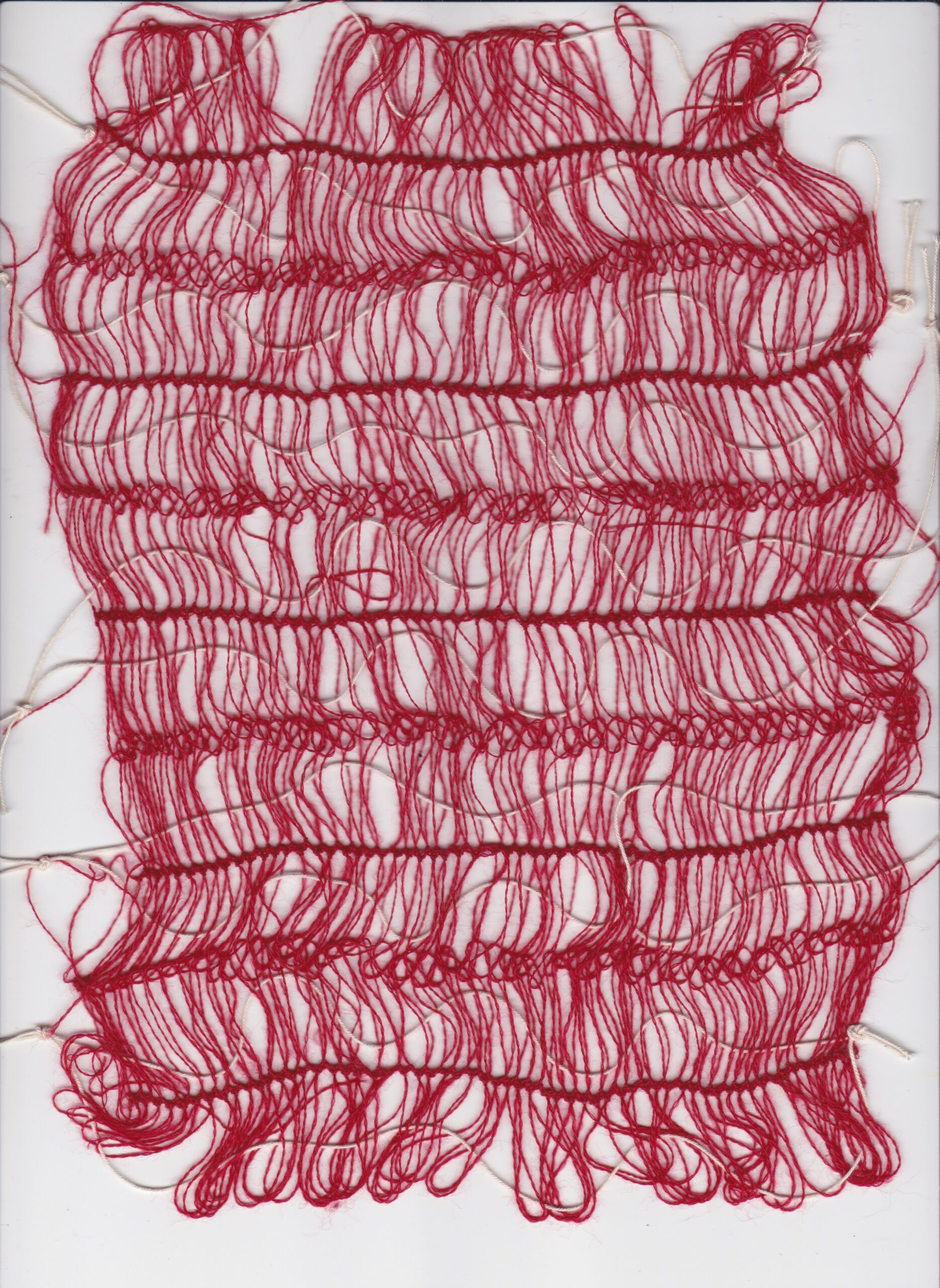 2324_WiSe_BOCKROSALIE_16